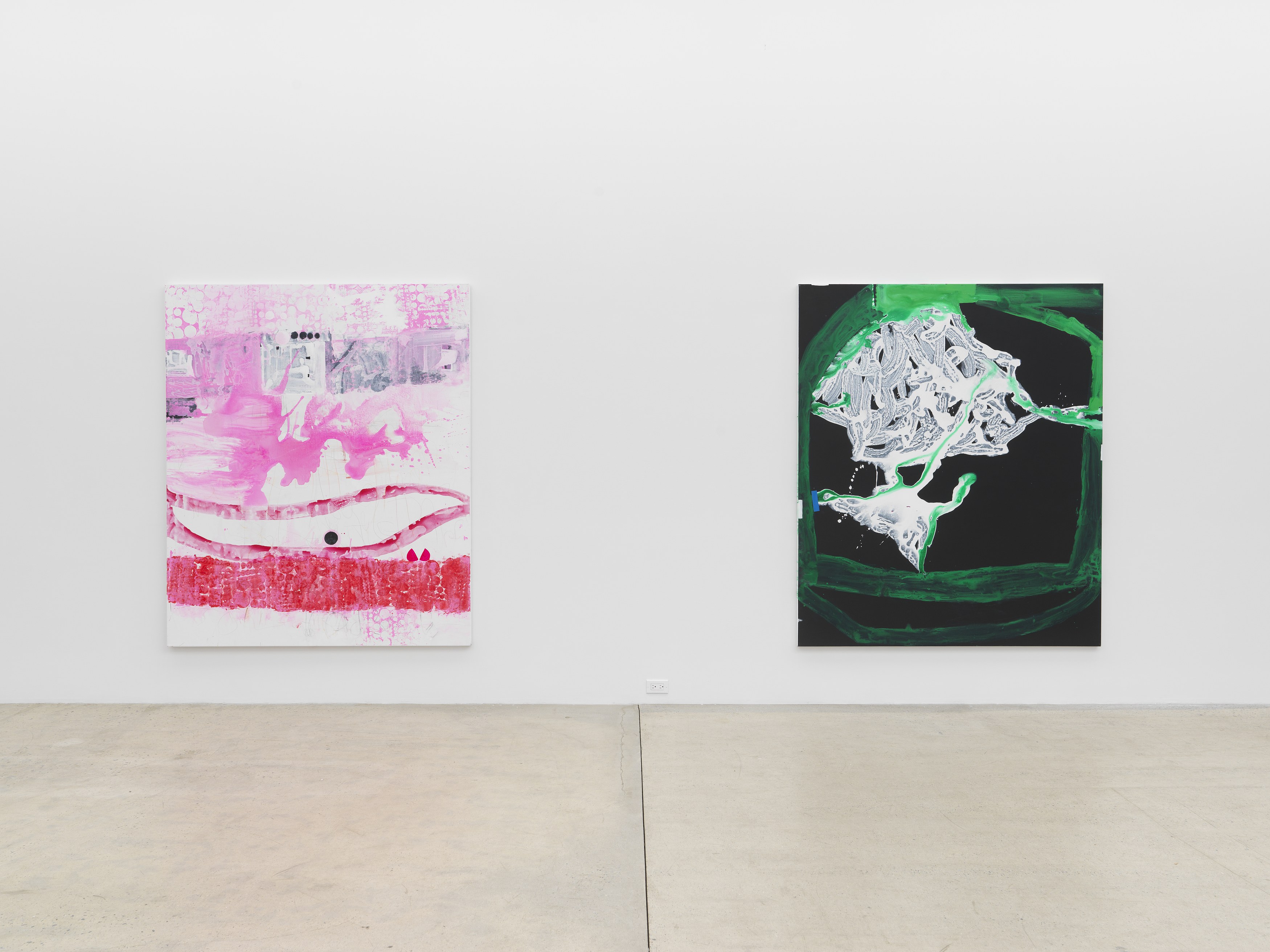 Janis Provisor, You Know What I Mean at Magenta Plains, photo 2
