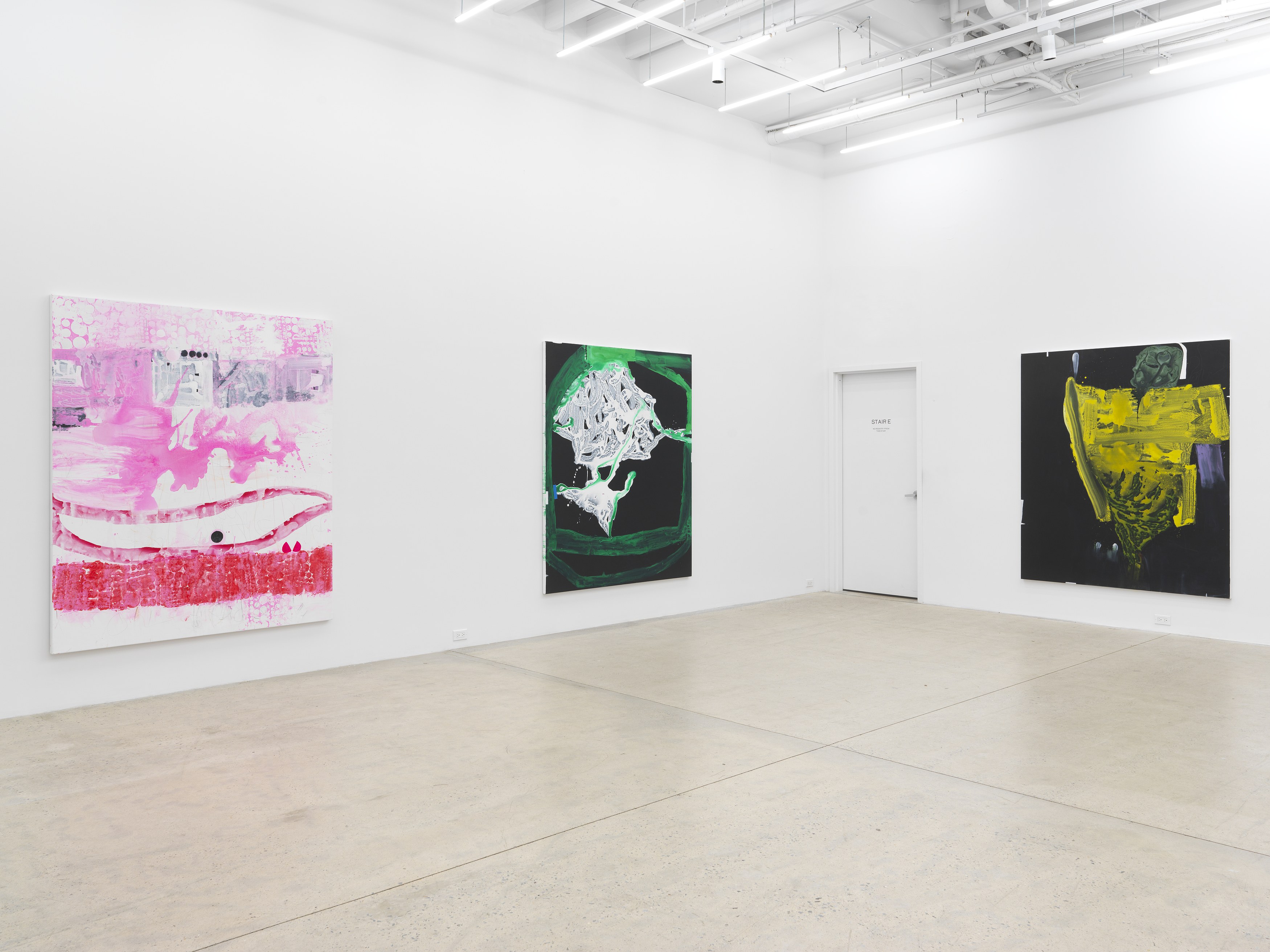 Janis Provisor, You Know What I Mean at Magenta Plains, photo 3