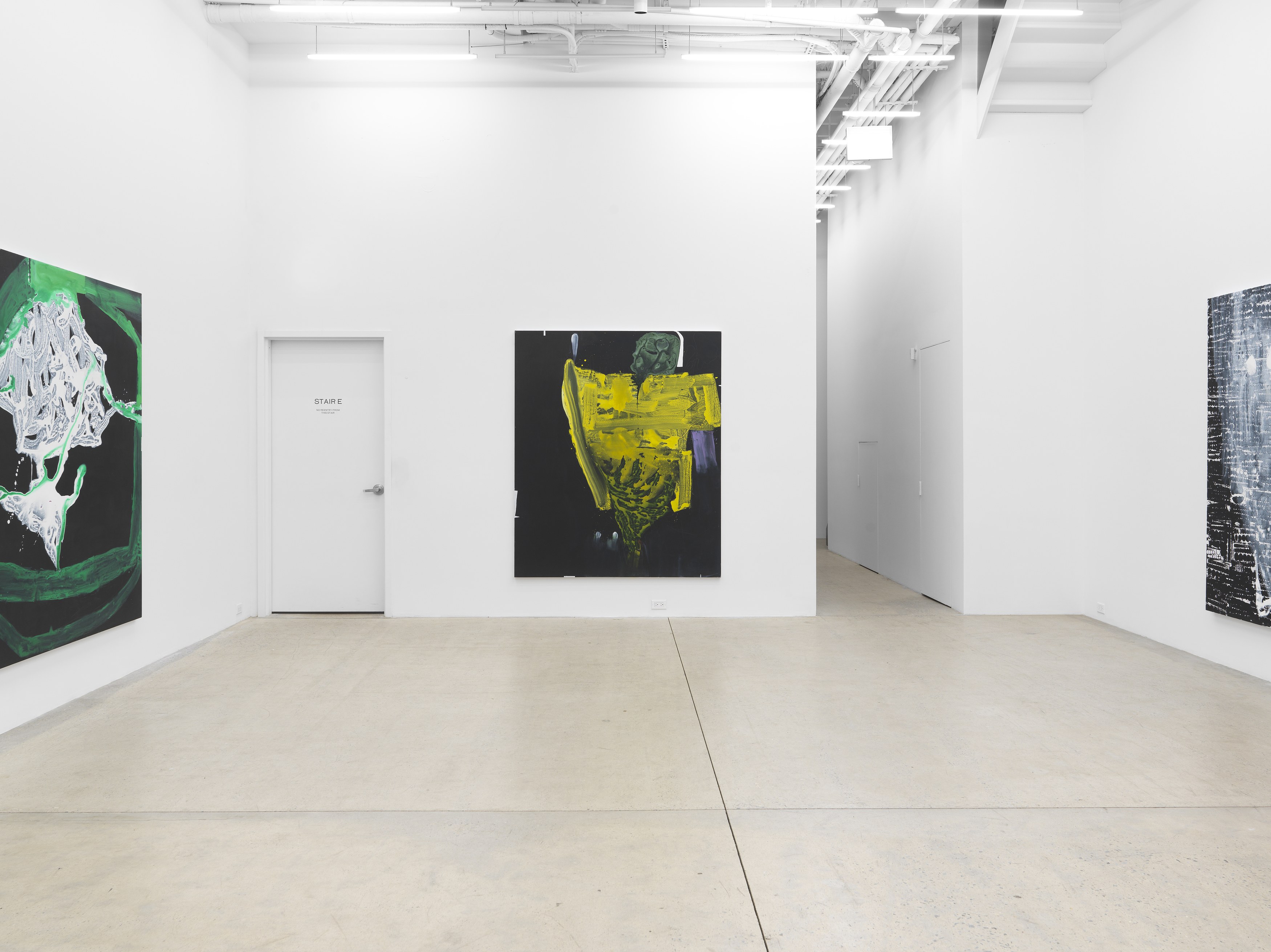 Janis Provisor, You Know What I Mean at Magenta Plains, photo 4