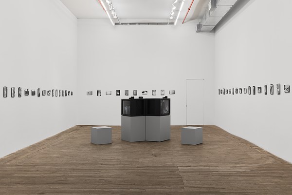 Renée Green | Contemporary Art Library