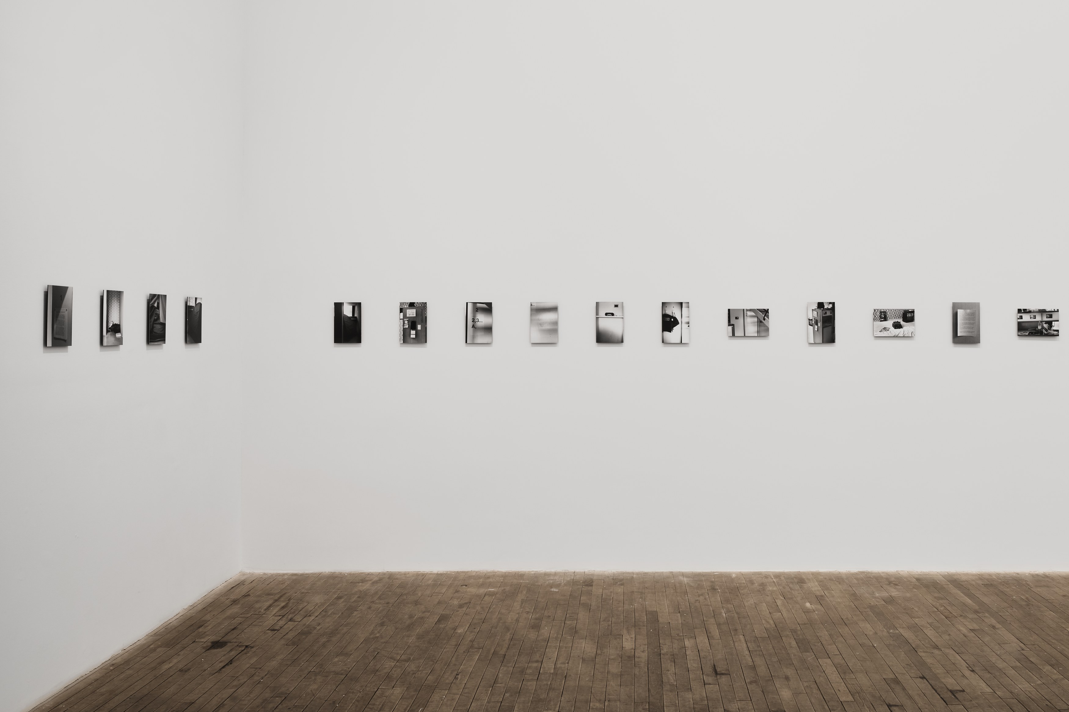 Renée Green, Secret at Bortolami, photo 3