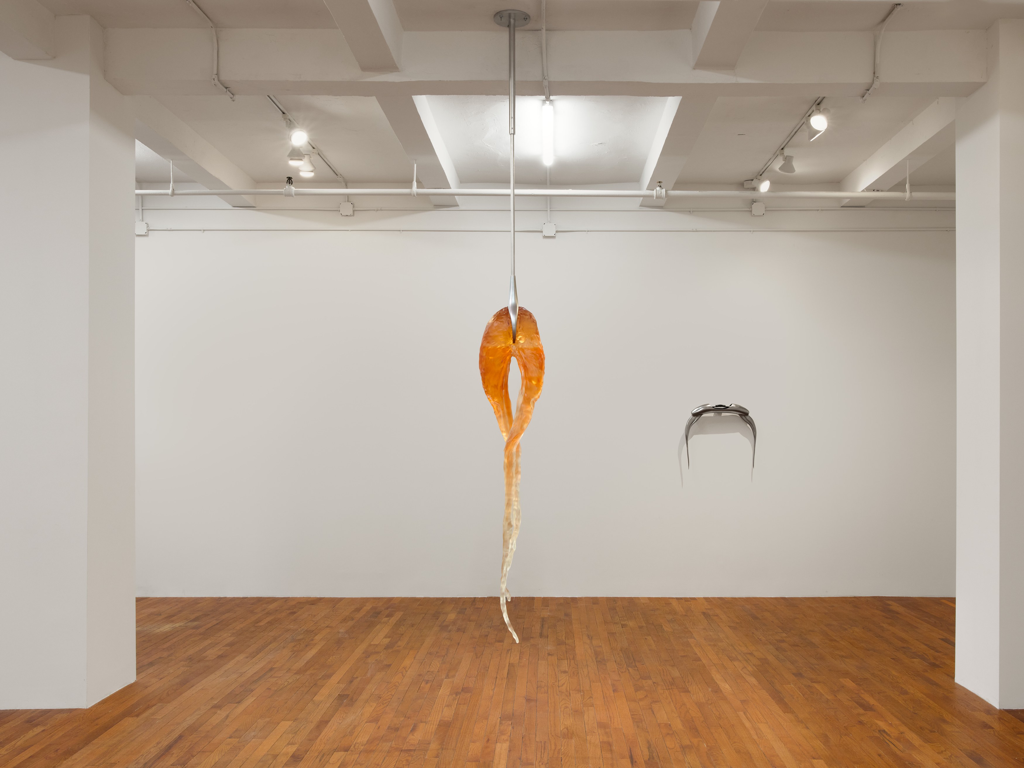 Imogen Brent, Cameron Klavsen, Backwash at Kevin Kramer Gallery, photo 6