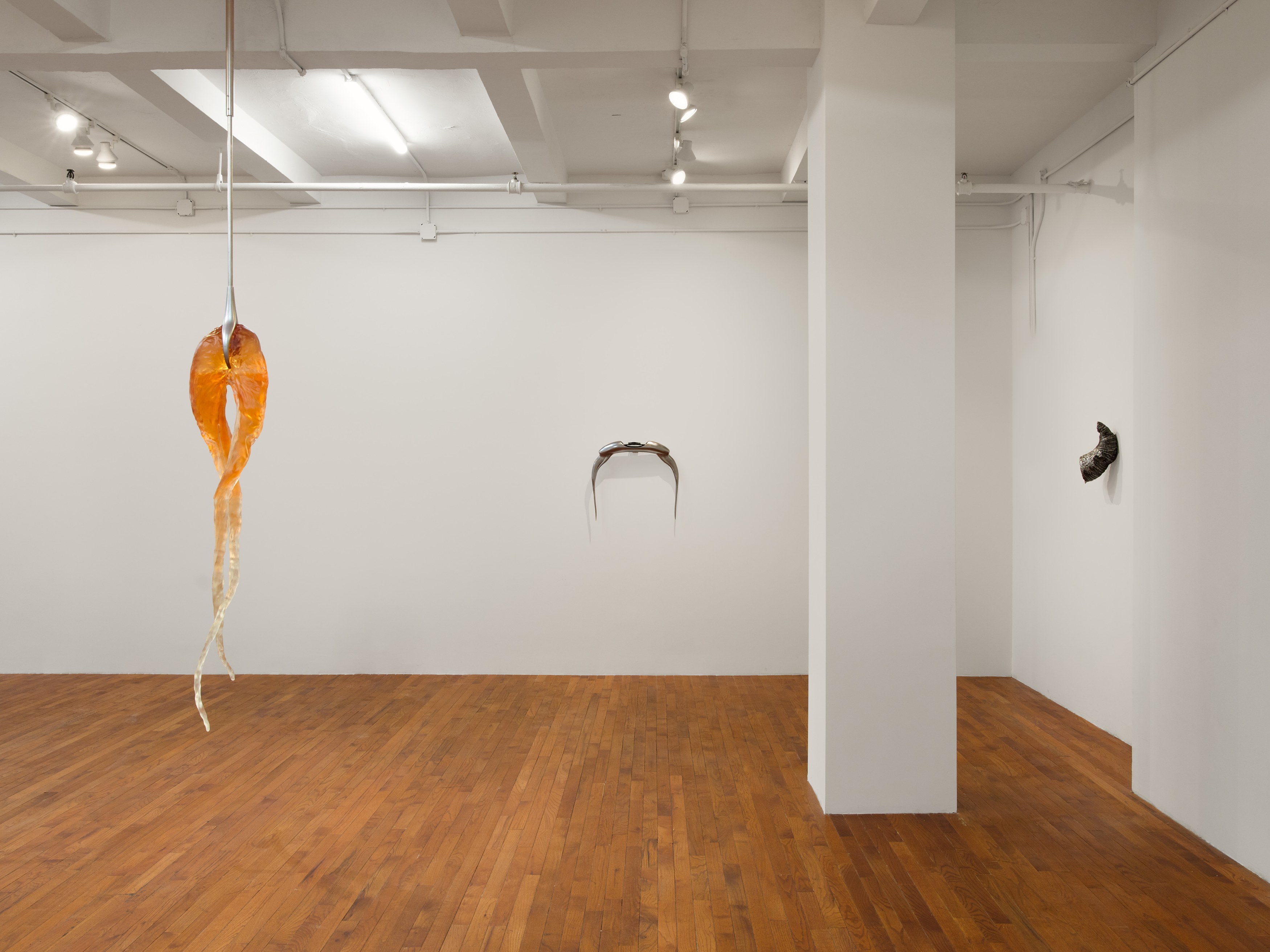 Imogen Brent, Cameron Klavsen, Backwash at Kevin Kramer Gallery, photo 7
