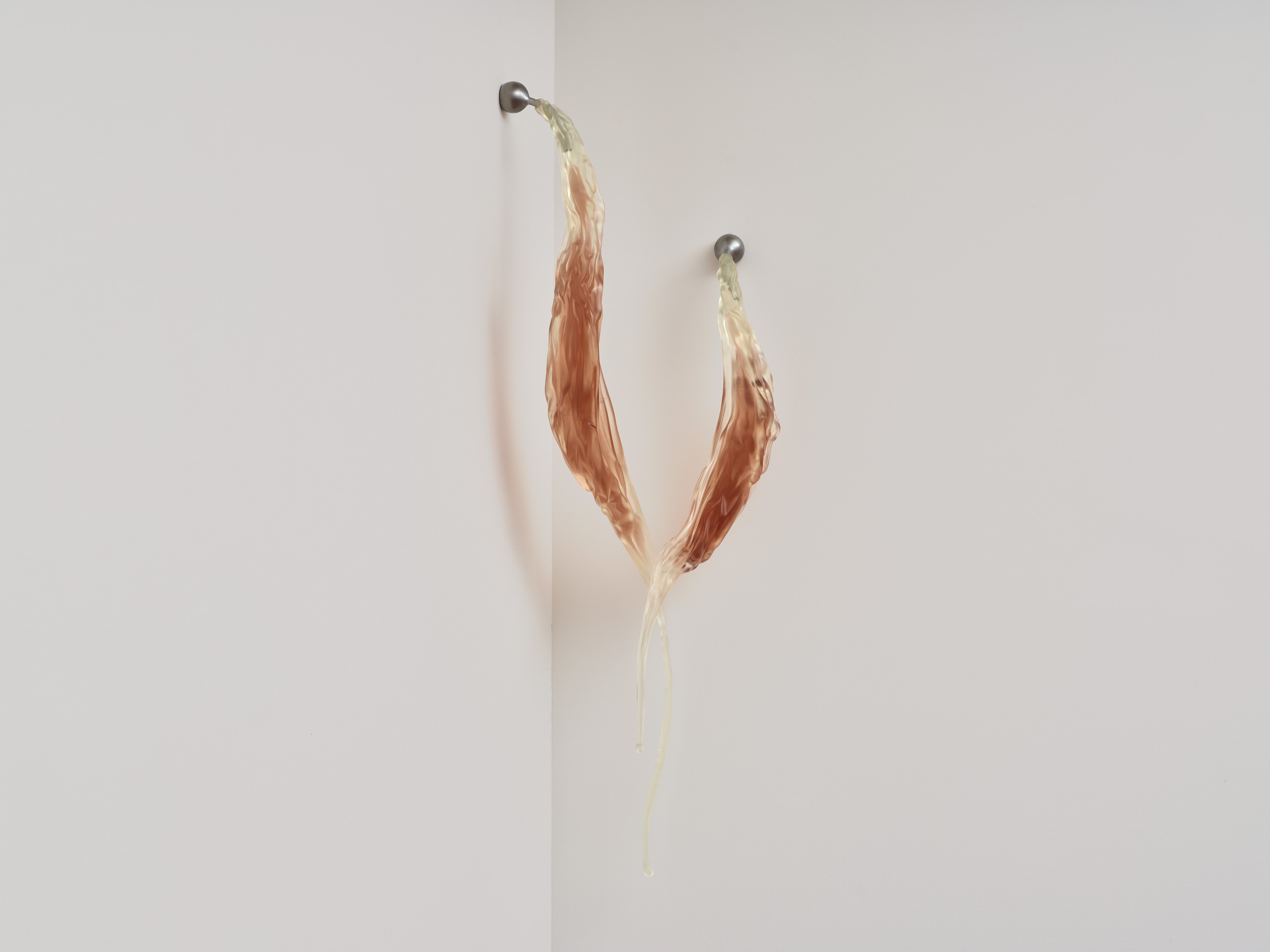 Imogen Brent, Cameron Klavsen, Backwash at Kevin Kramer Gallery, photo 22