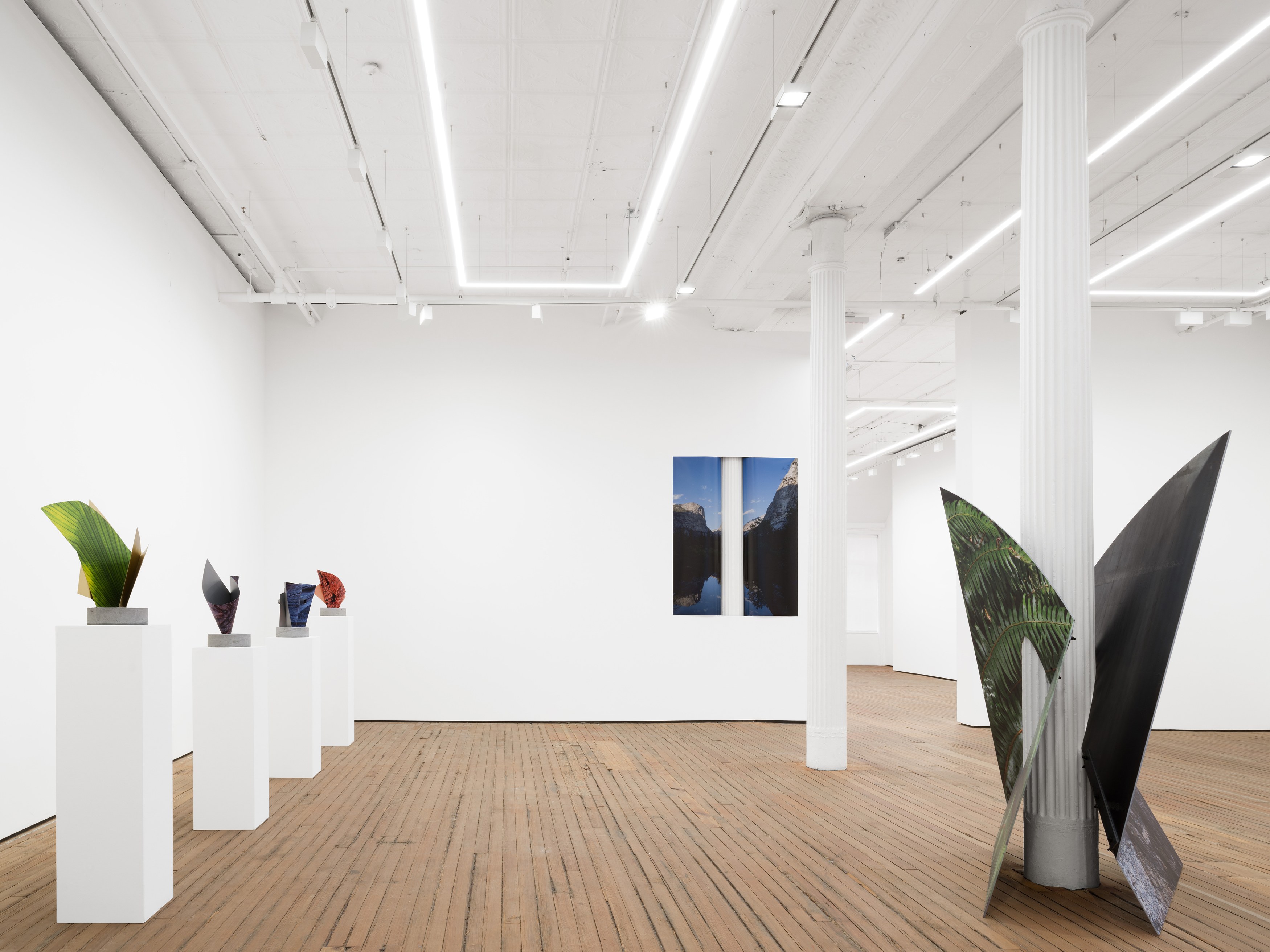 Letha Wilson, Stone's Throw at Grimm, photo 5