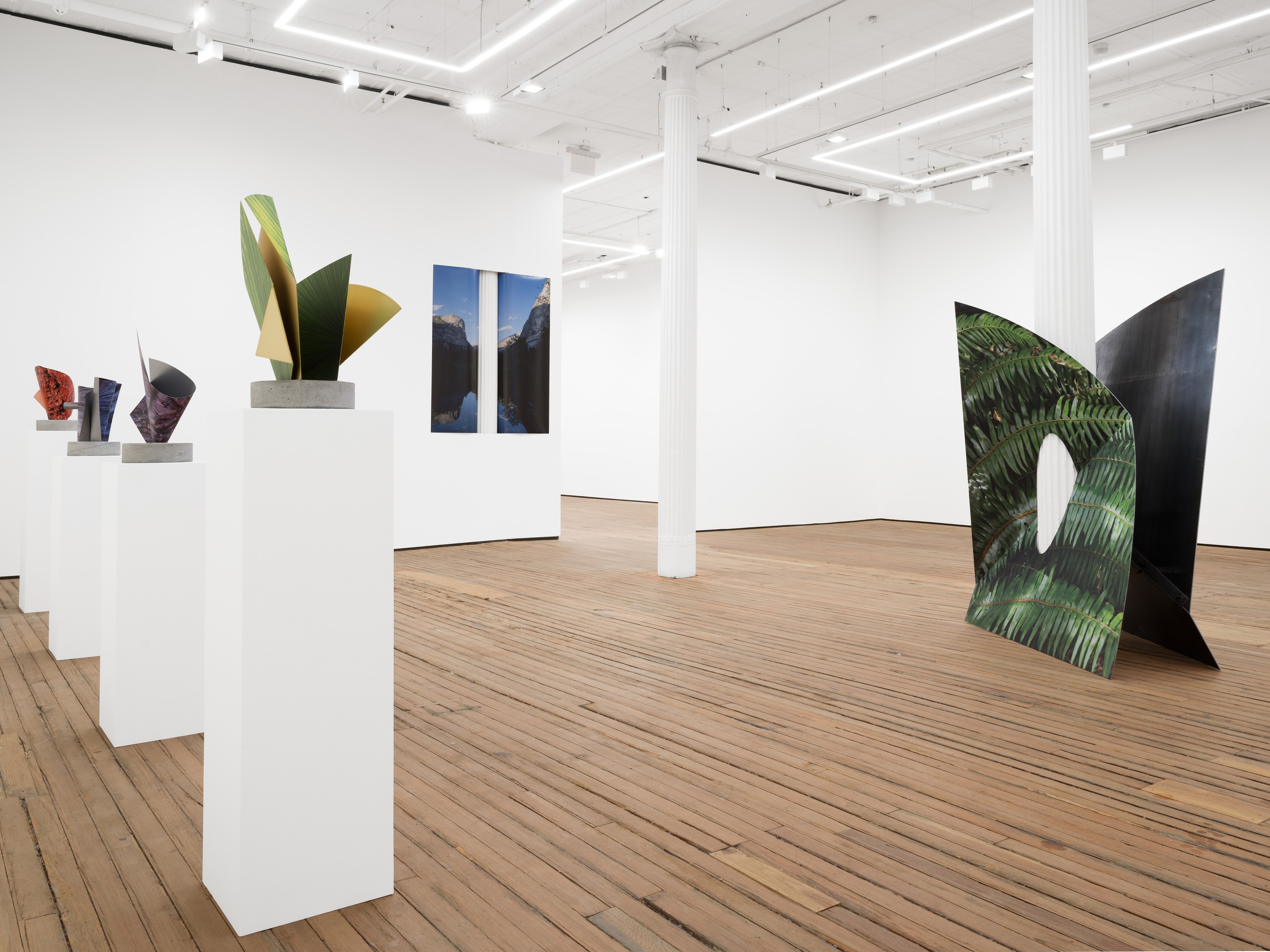 Letha Wilson, Stone's Throw at Grimm, photo 6