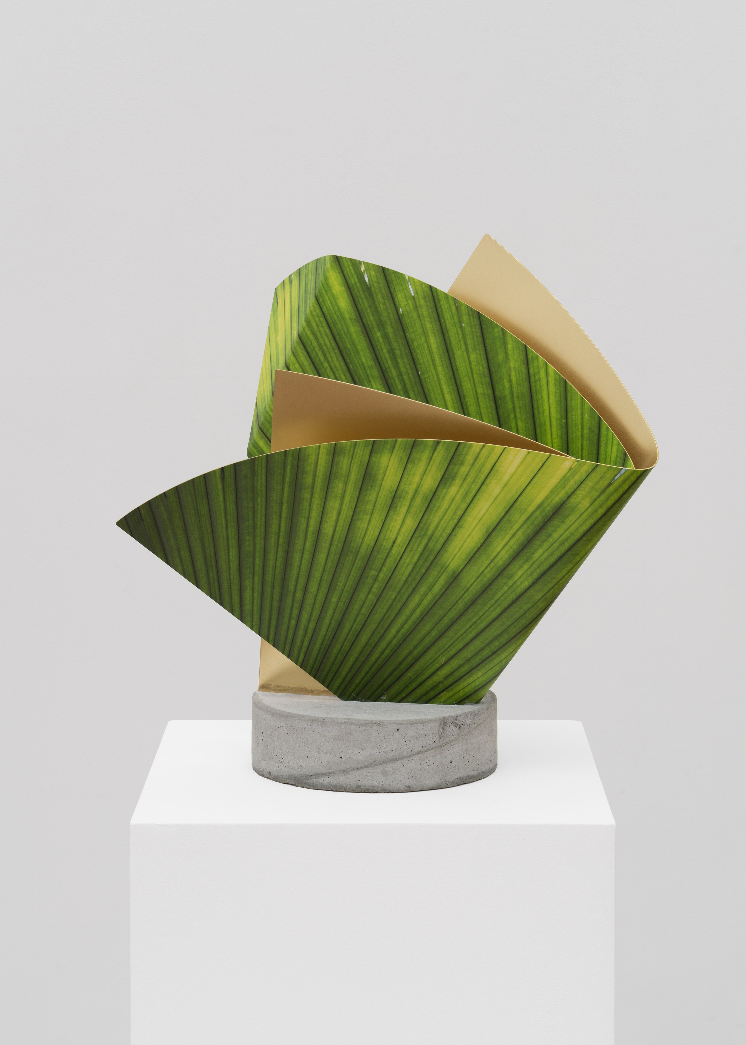 Letha Wilson, Stone's Throw at Grimm, photo 13