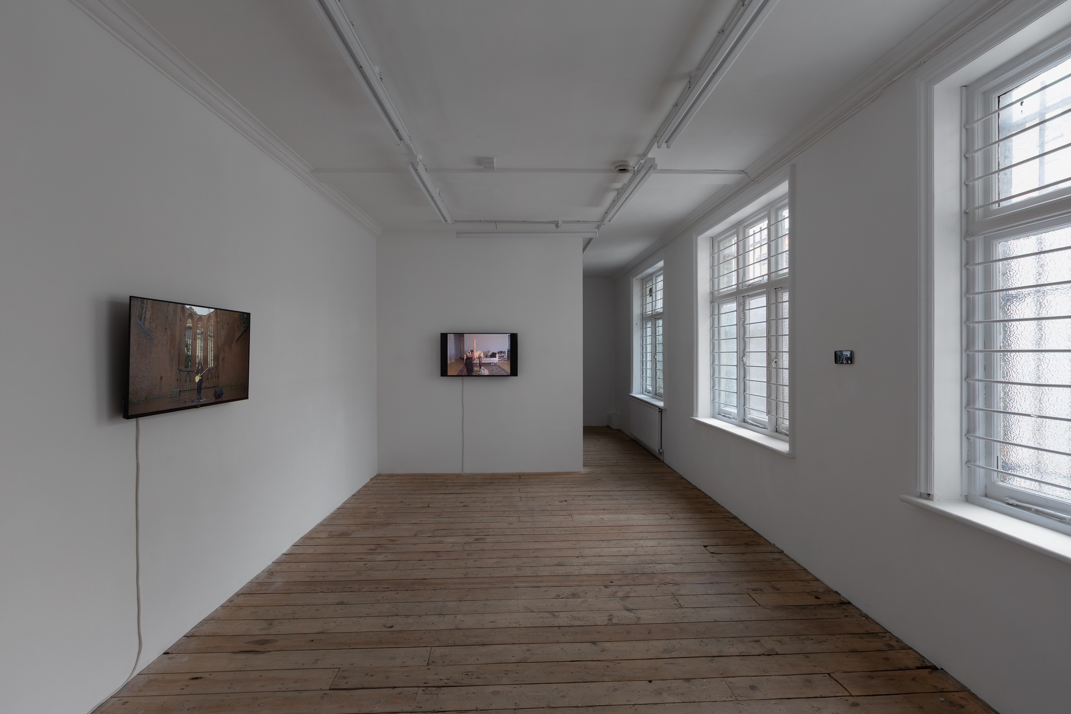 Johanna Hedva, Failed Poet: New and Early Video Works at Tina, photo 2