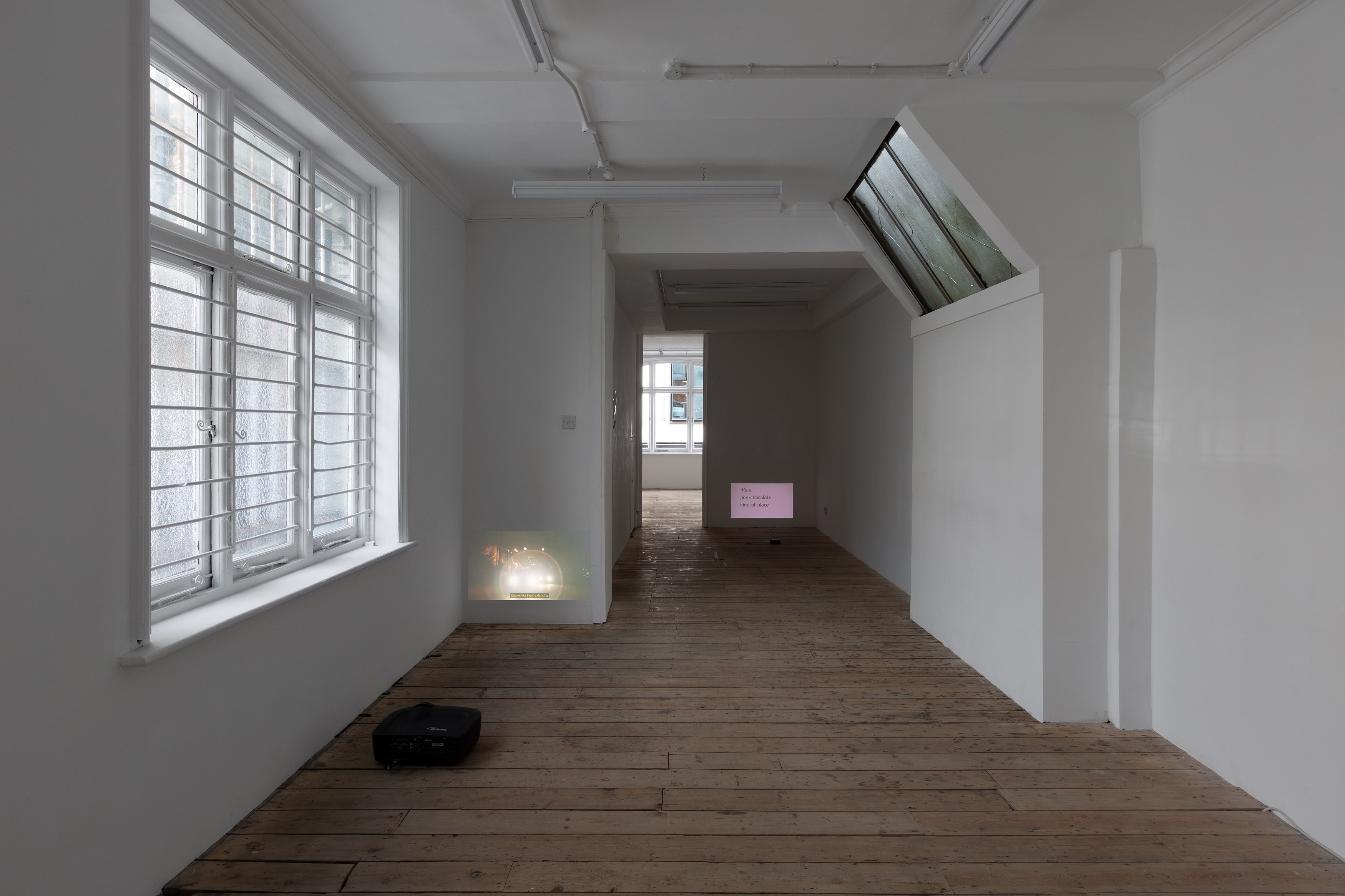 Johanna Hedva, Failed Poet: New and Early Video Works at Tina, photo 3