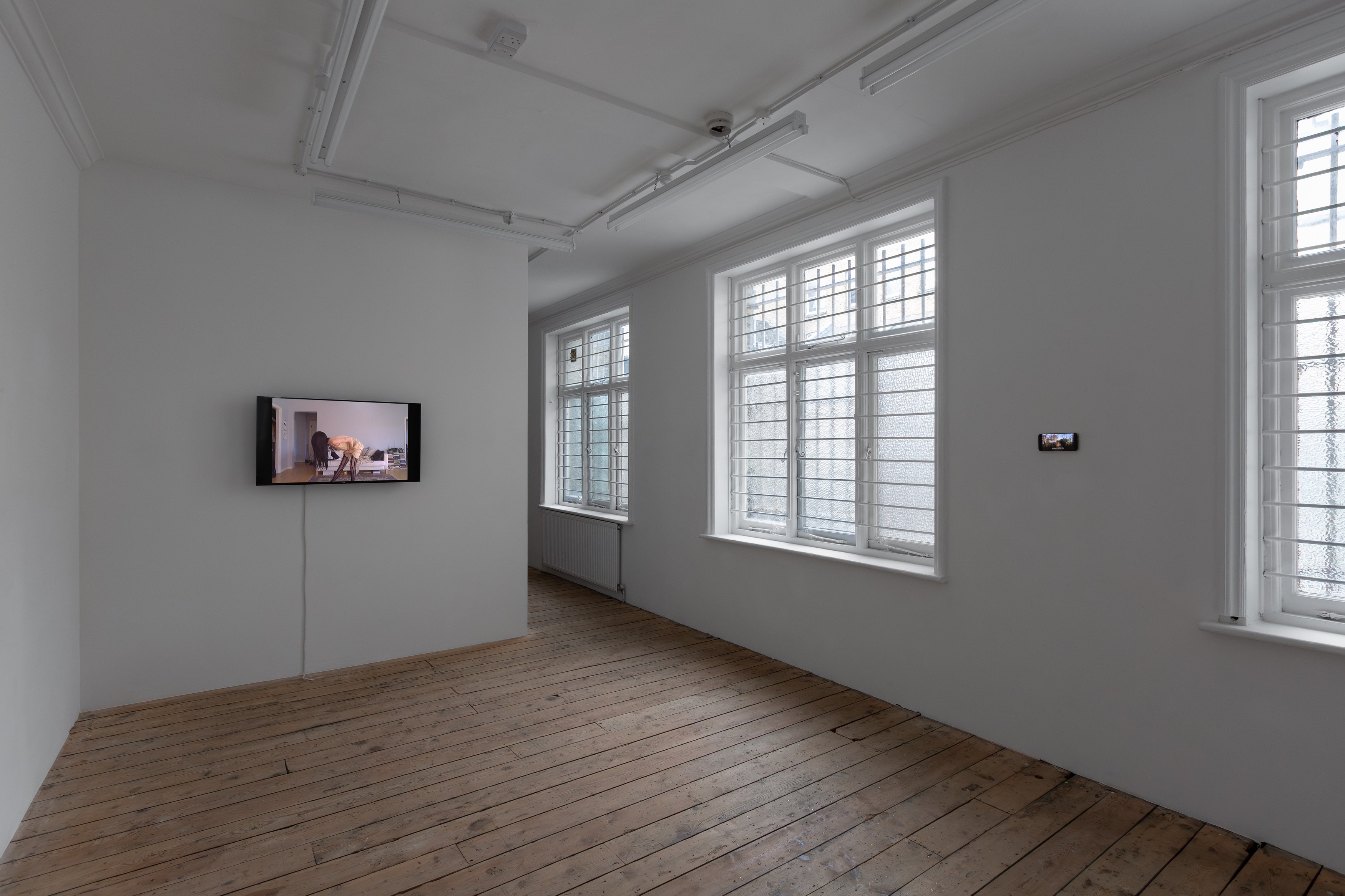 Johanna Hedva, Failed Poet: New and Early Video Works at Tina, photo 5
