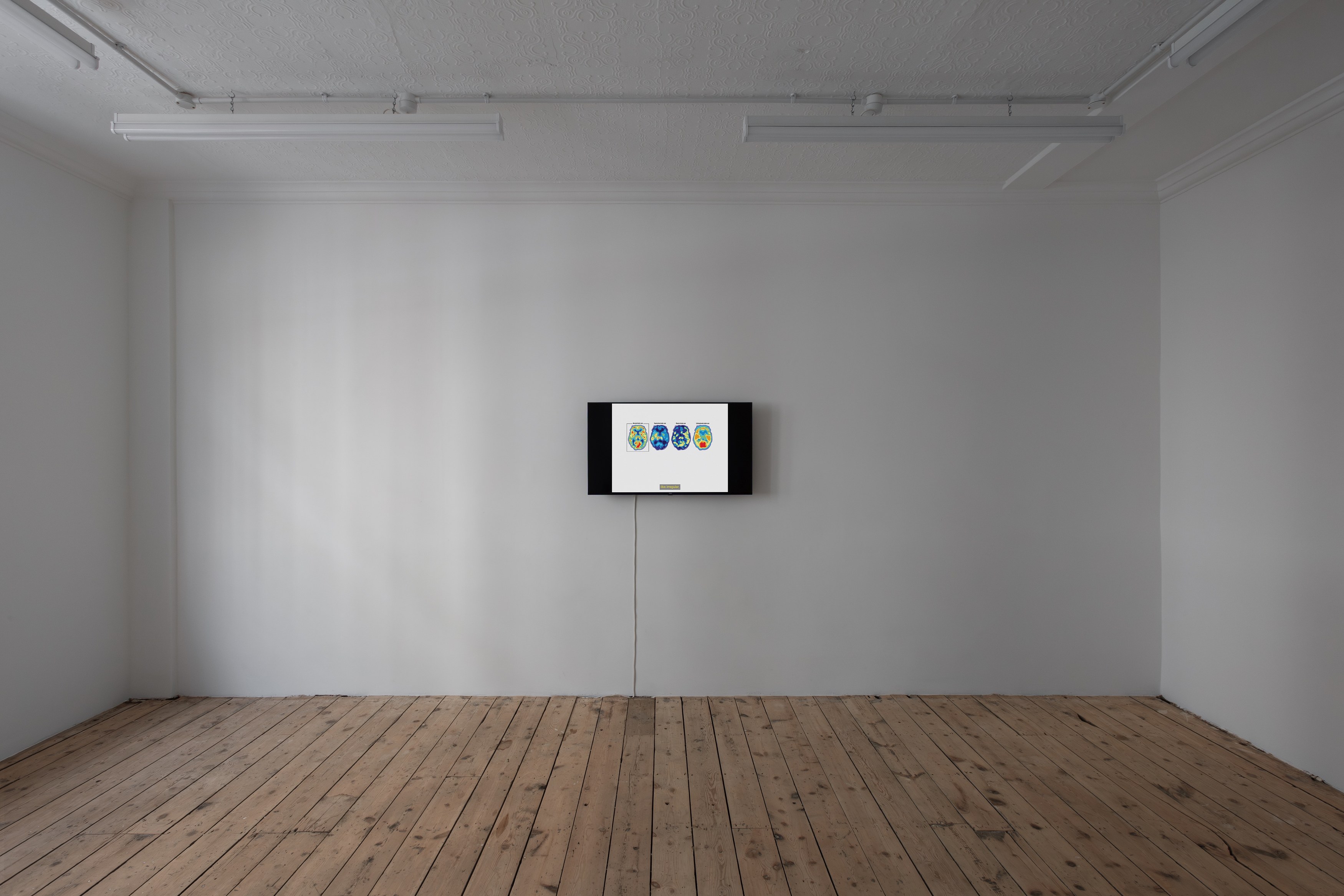 Johanna Hedva, Failed Poet: New and Early Video Works at Tina, photo 7