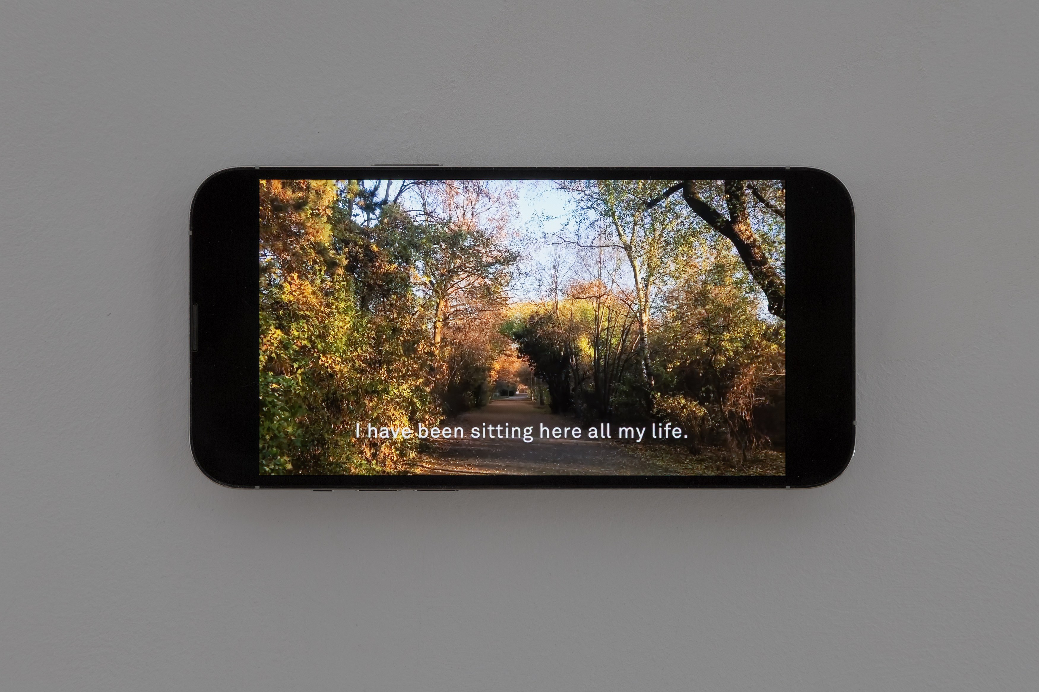 Johanna Hedva, Failed Poet: New and Early Video Works at Tina, photo 12