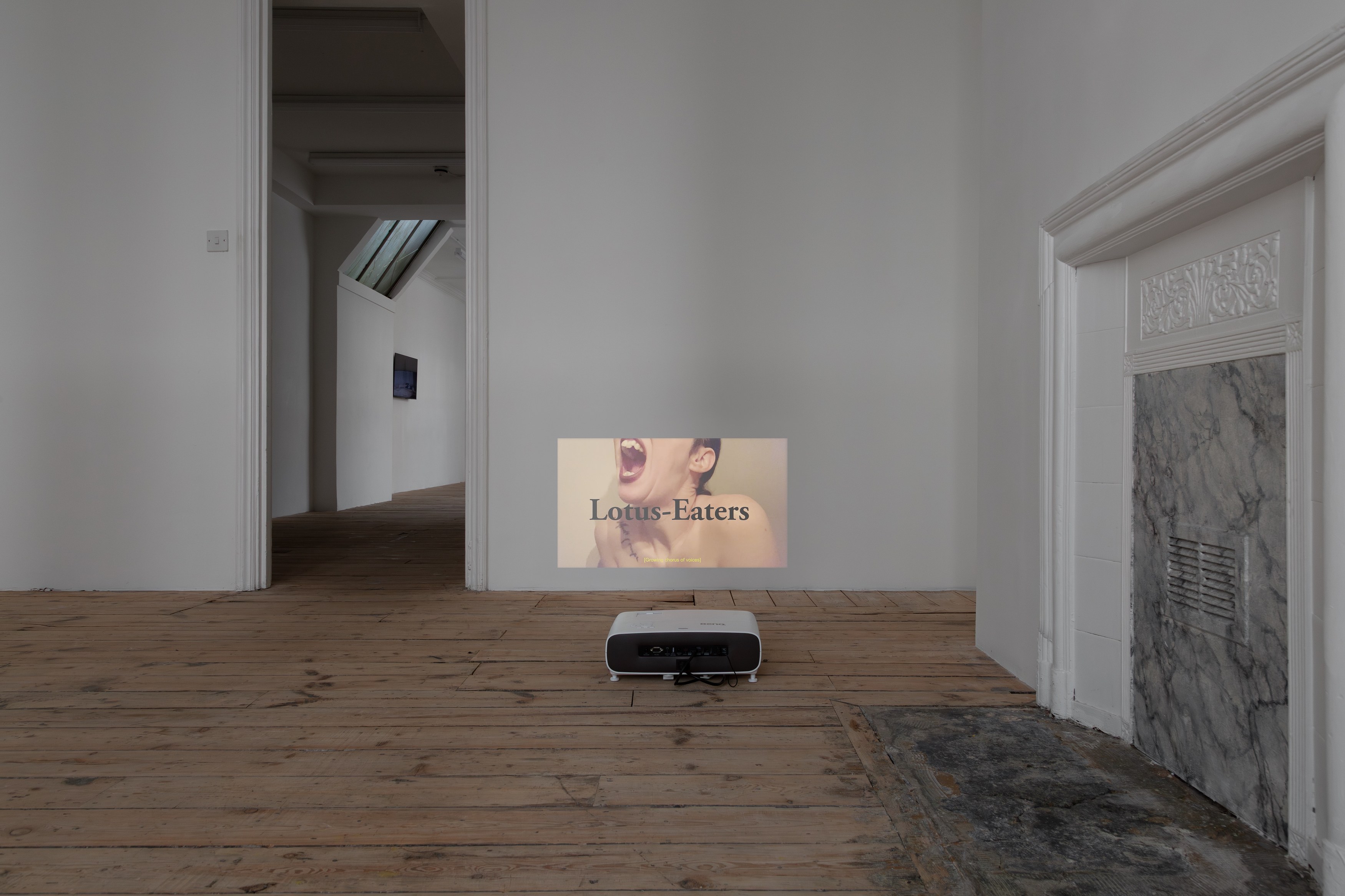 Johanna Hedva, Failed Poet: New and Early Video Works at Tina, photo 13