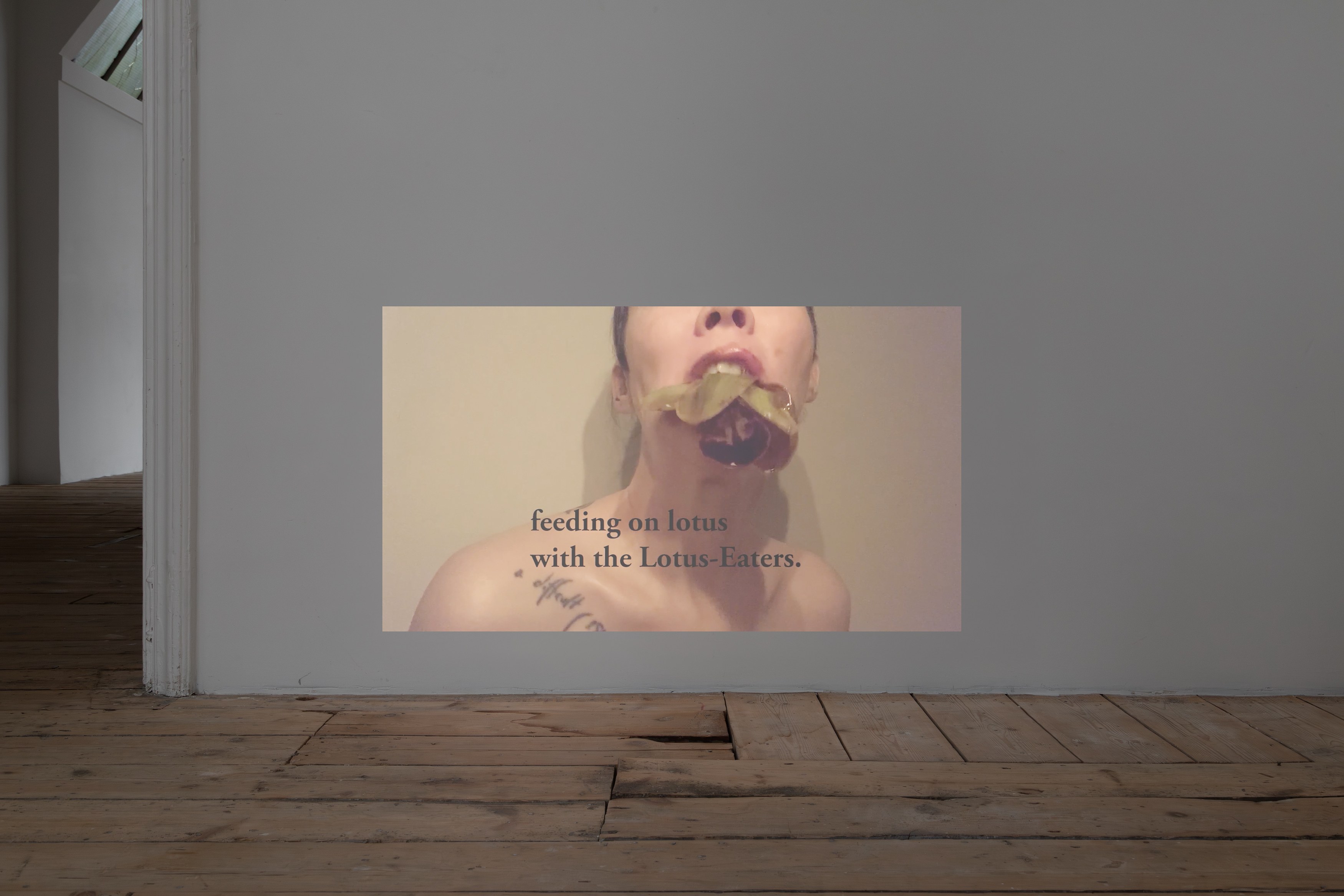Johanna Hedva, Failed Poet: New and Early Video Works at Tina, photo 14
