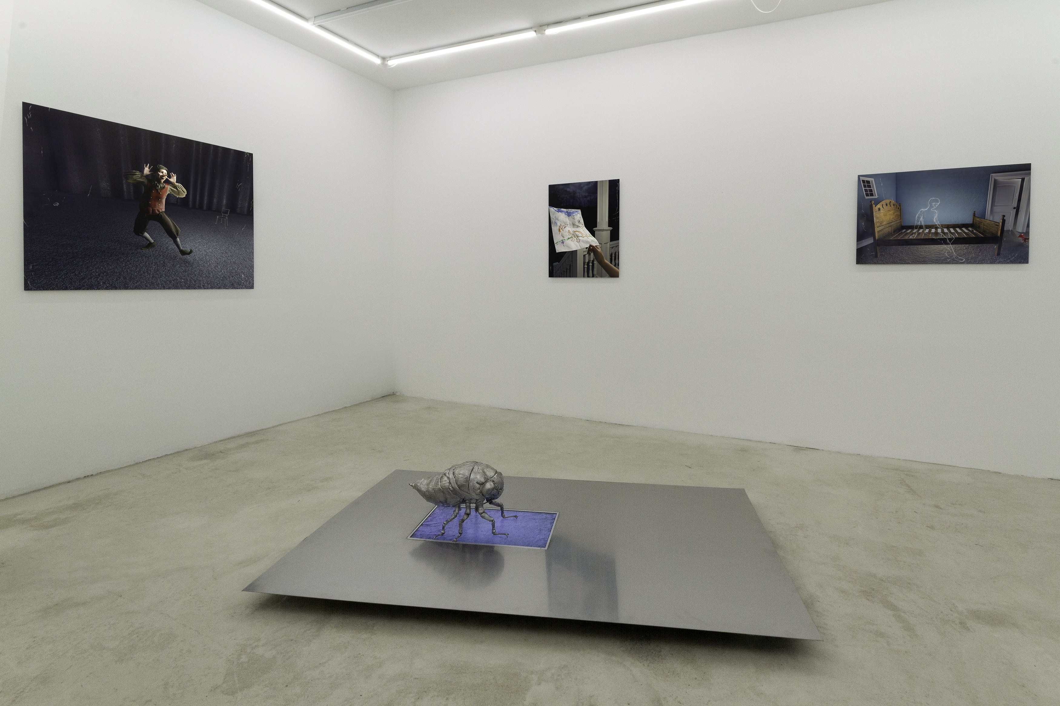 Gregory Nachmanovitch, Self Portrait with Pets at Number 1 Main Road, photo 2