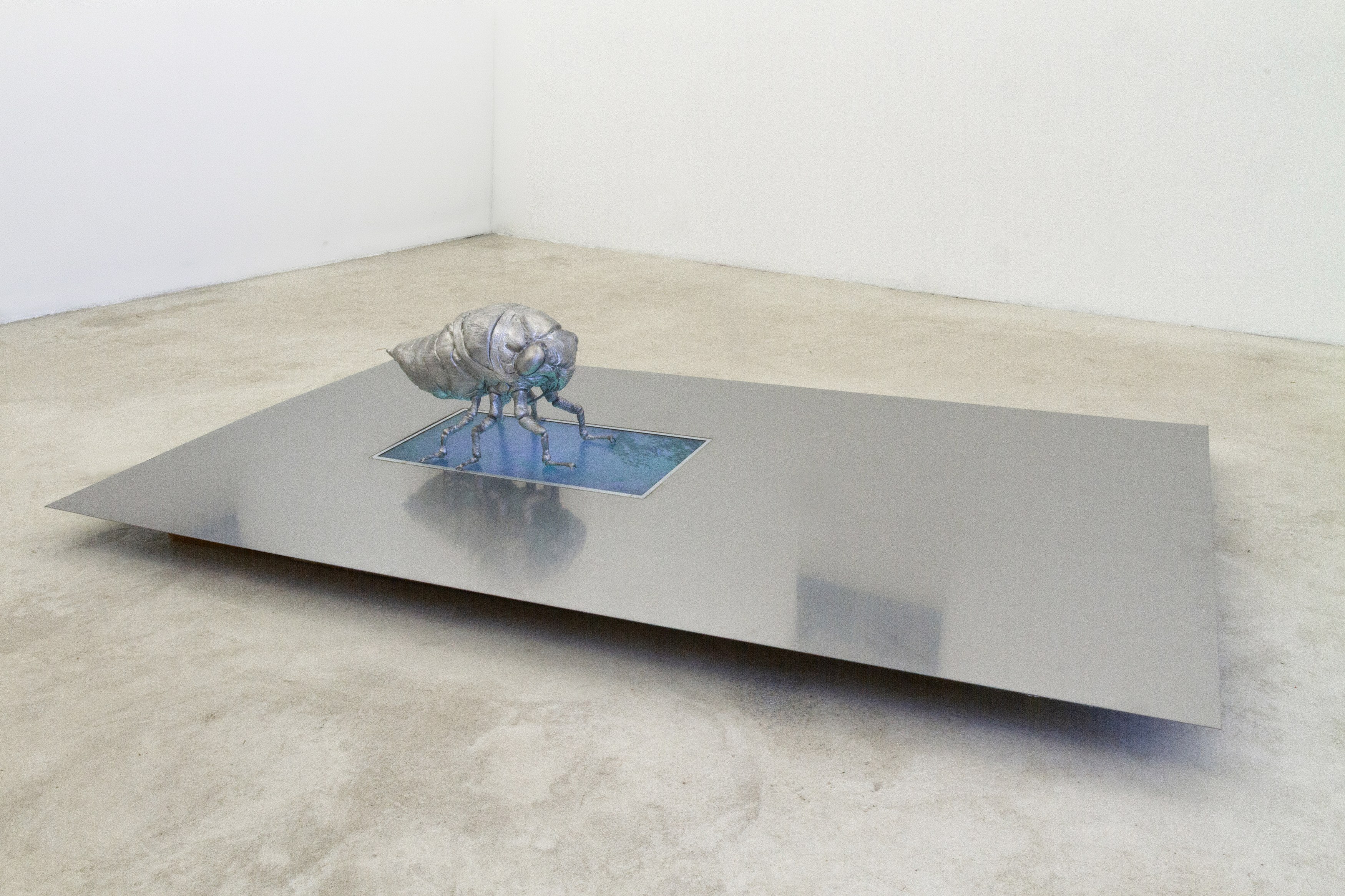 Gregory Nachmanovitch, Self Portrait with Pets at Number 1 Main Road, photo 3