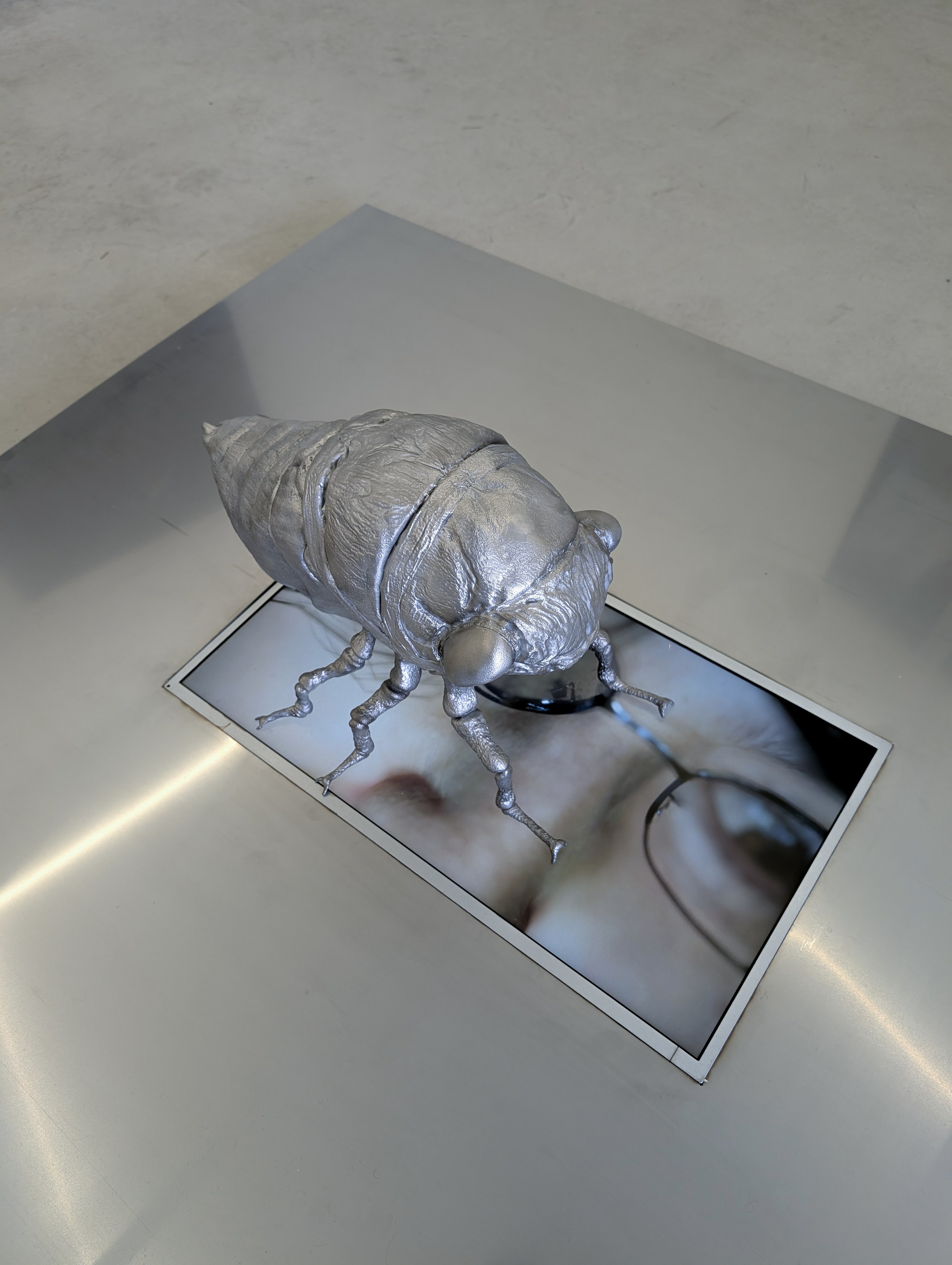 Gregory Nachmanovitch, Self Portrait with Pets at Number 1 Main Road, photo 6