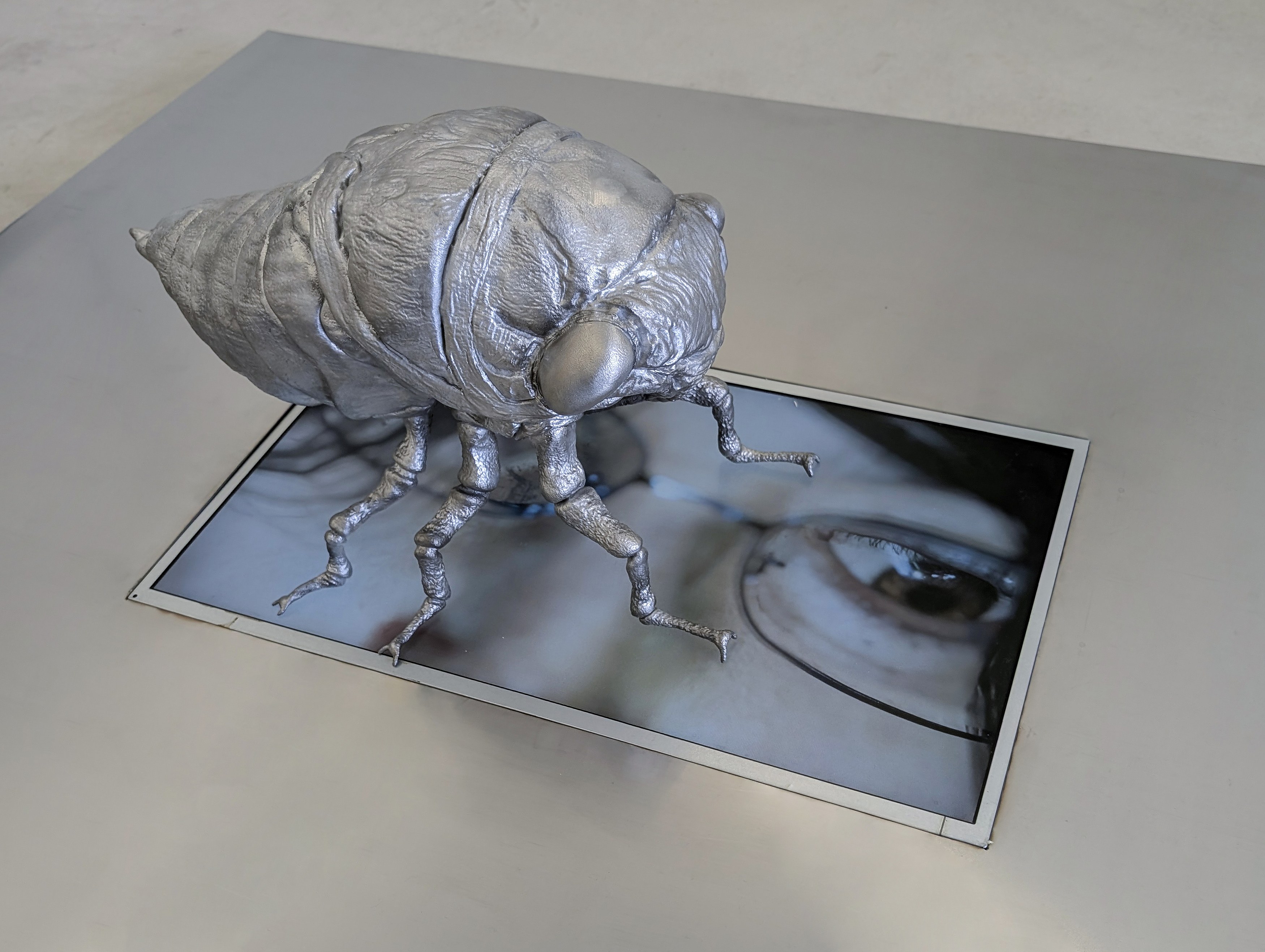 Gregory Nachmanovitch, Self Portrait with Pets at Number 1 Main Road, photo 7