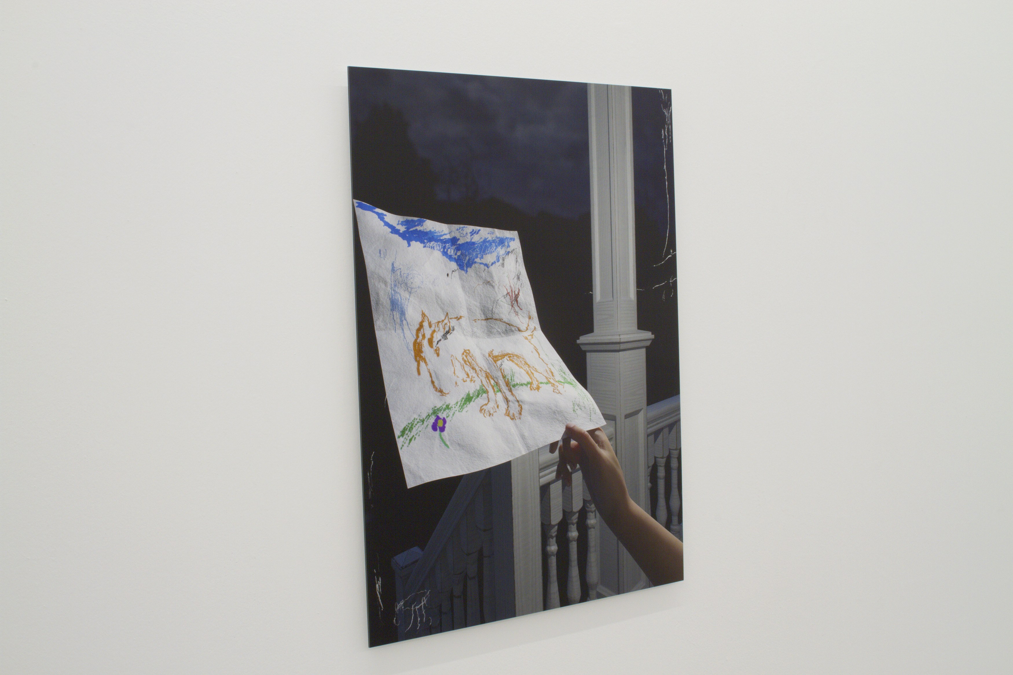 Gregory Nachmanovitch, Self Portrait with Pets at Number 1 Main Road, photo 10