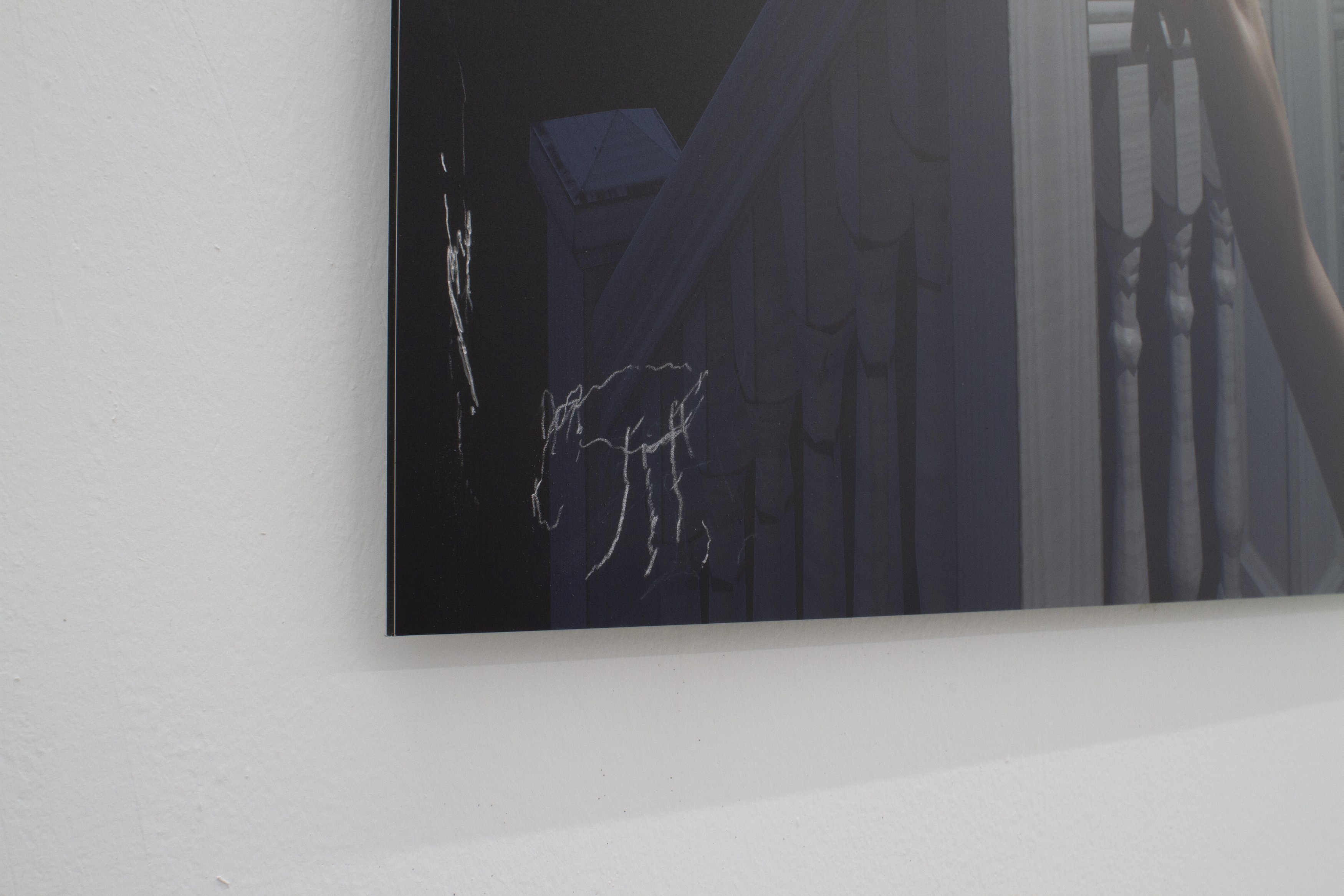 Gregory Nachmanovitch, Self Portrait with Pets at Number 1 Main Road, photo 11