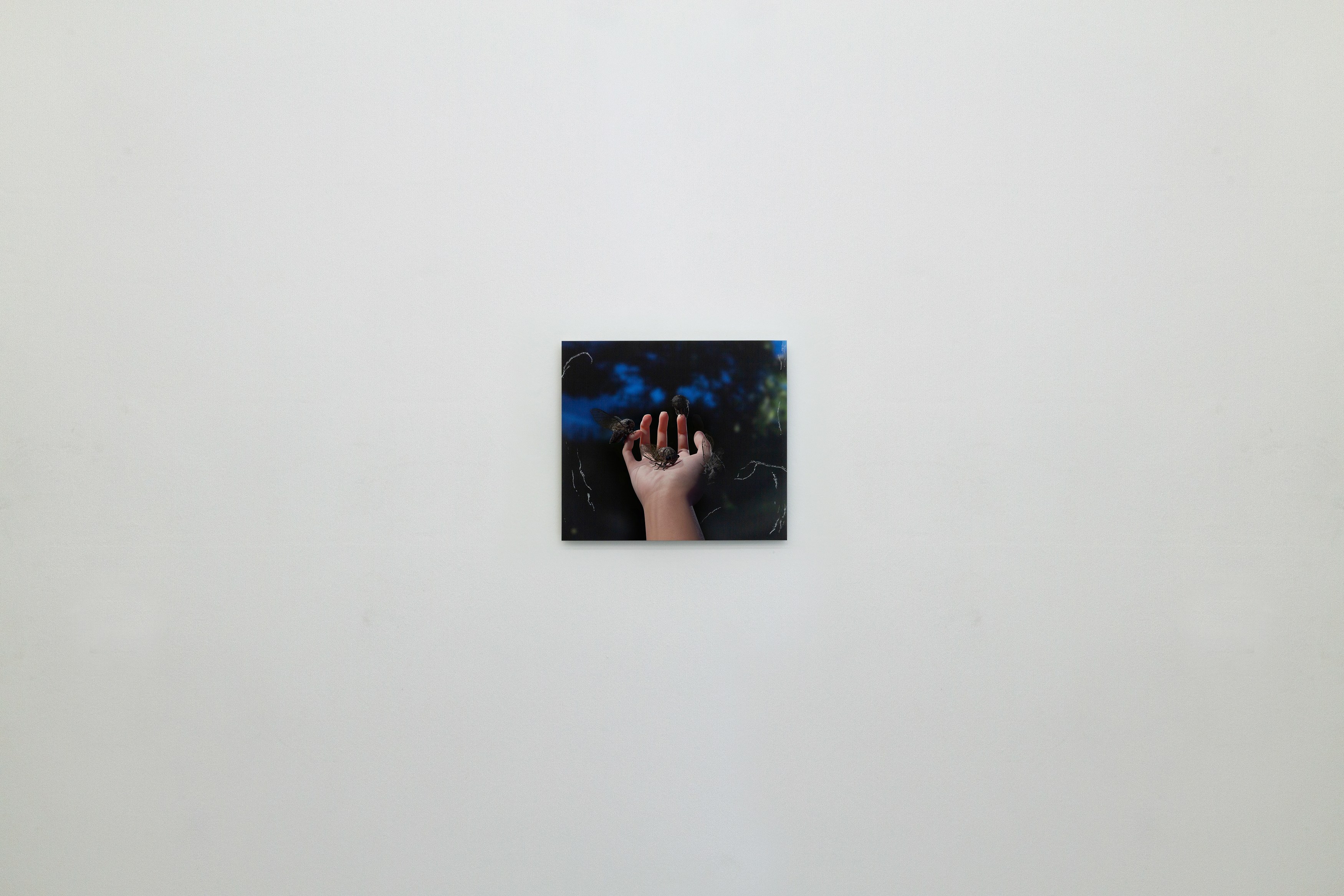 Gregory Nachmanovitch, Self Portrait with Pets at Number 1 Main Road, photo 19