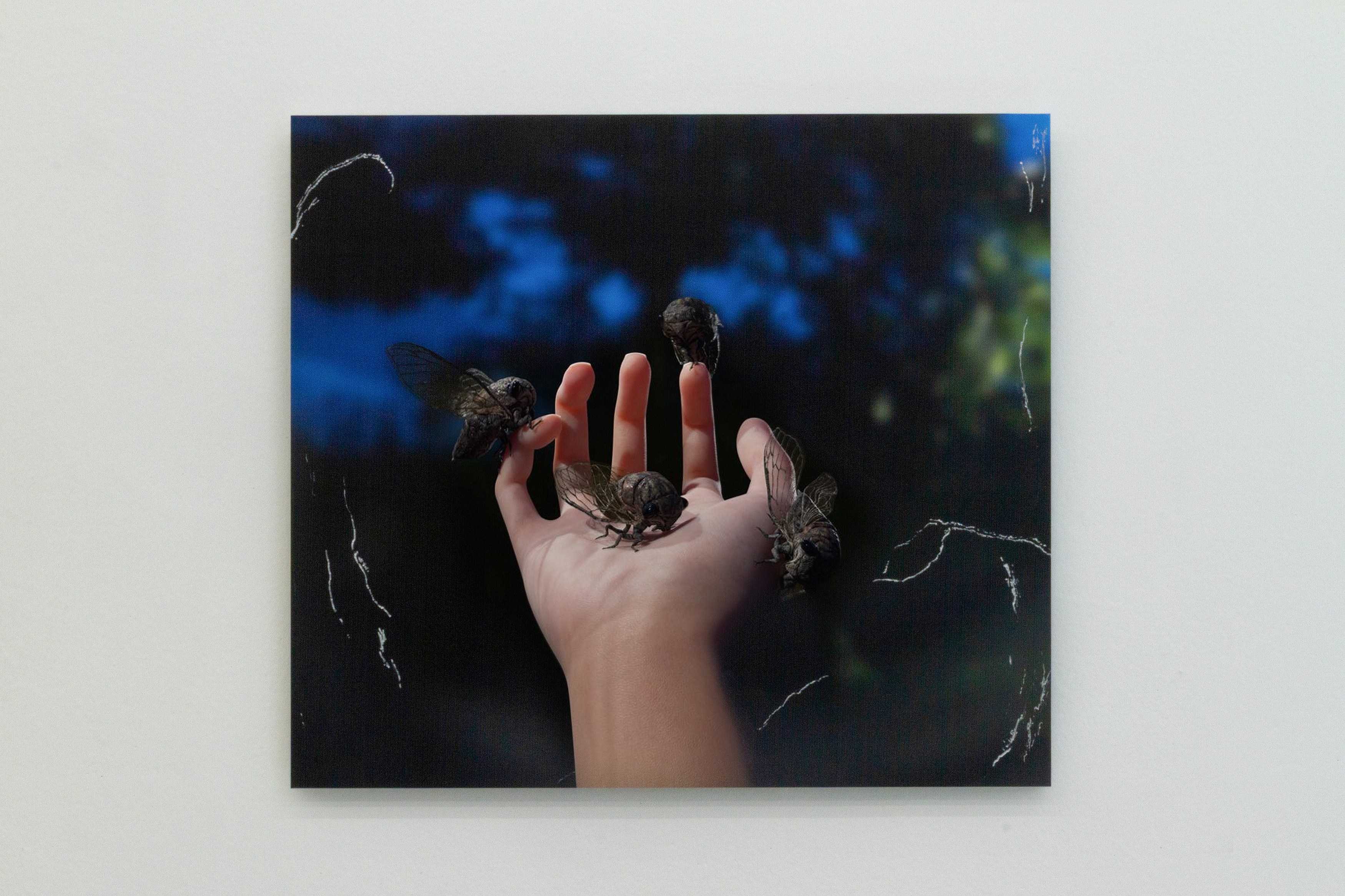 Gregory Nachmanovitch, Self Portrait with Pets at Number 1 Main Road, photo 20