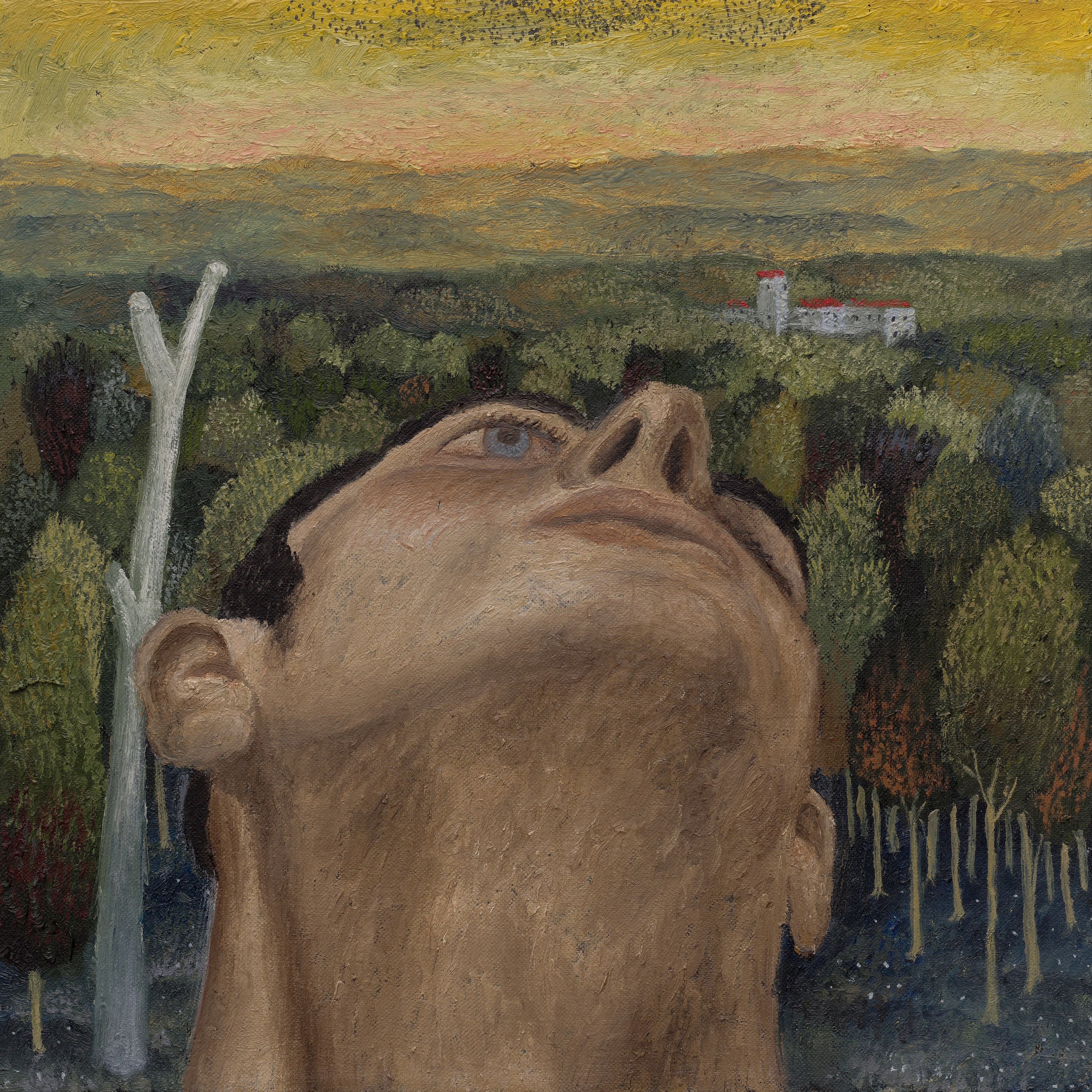 Giulio Noccesi, image 27 of 31