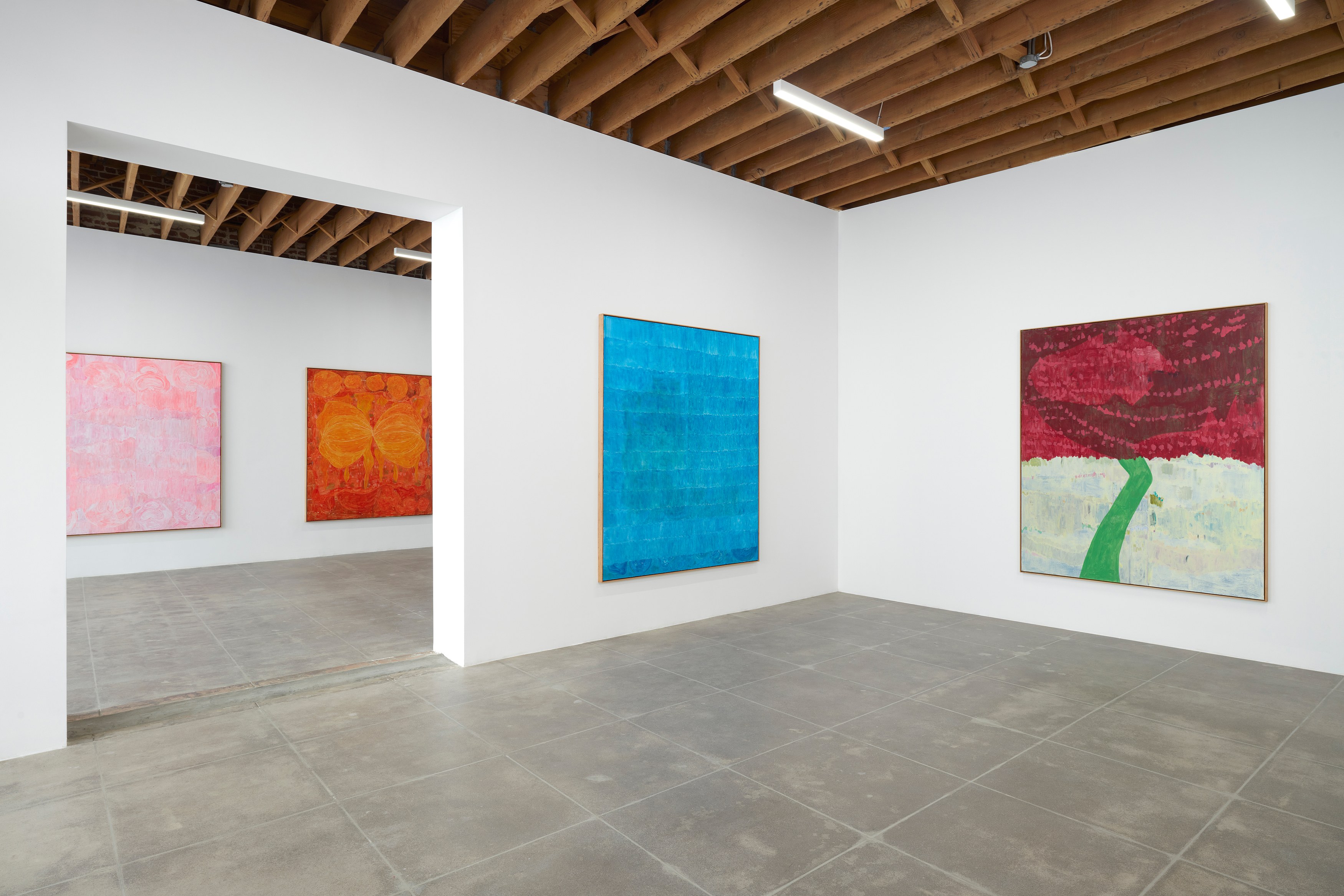 Jon Pestoni, image 6 of 32