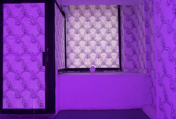 Image 1 of 14