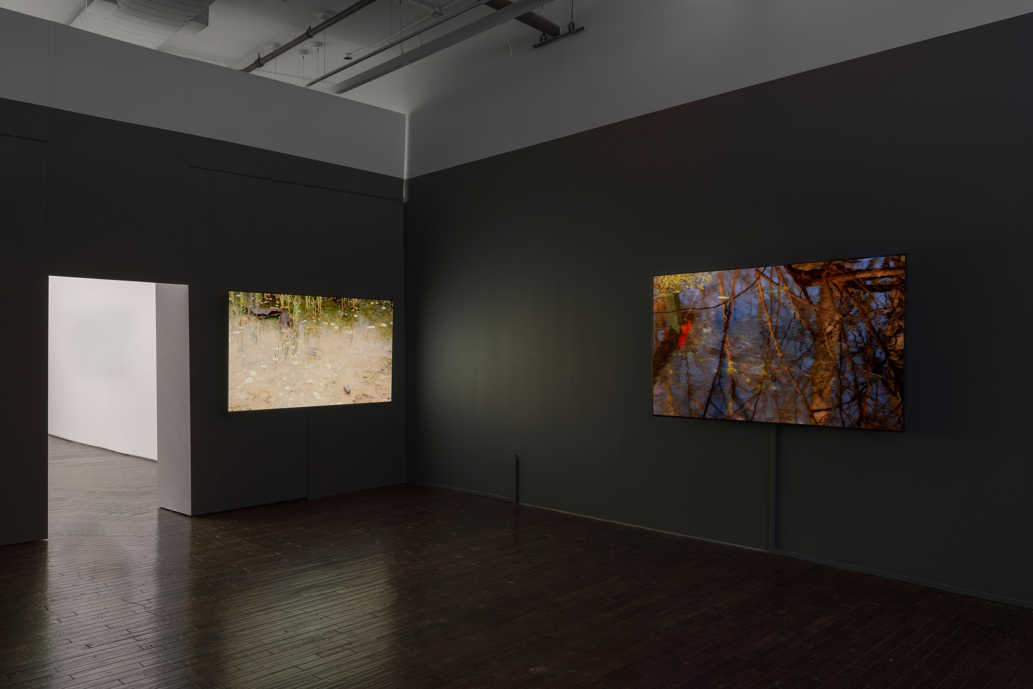 peter campus, what dreams may come at Cristin Tierney Gallery, photo 2