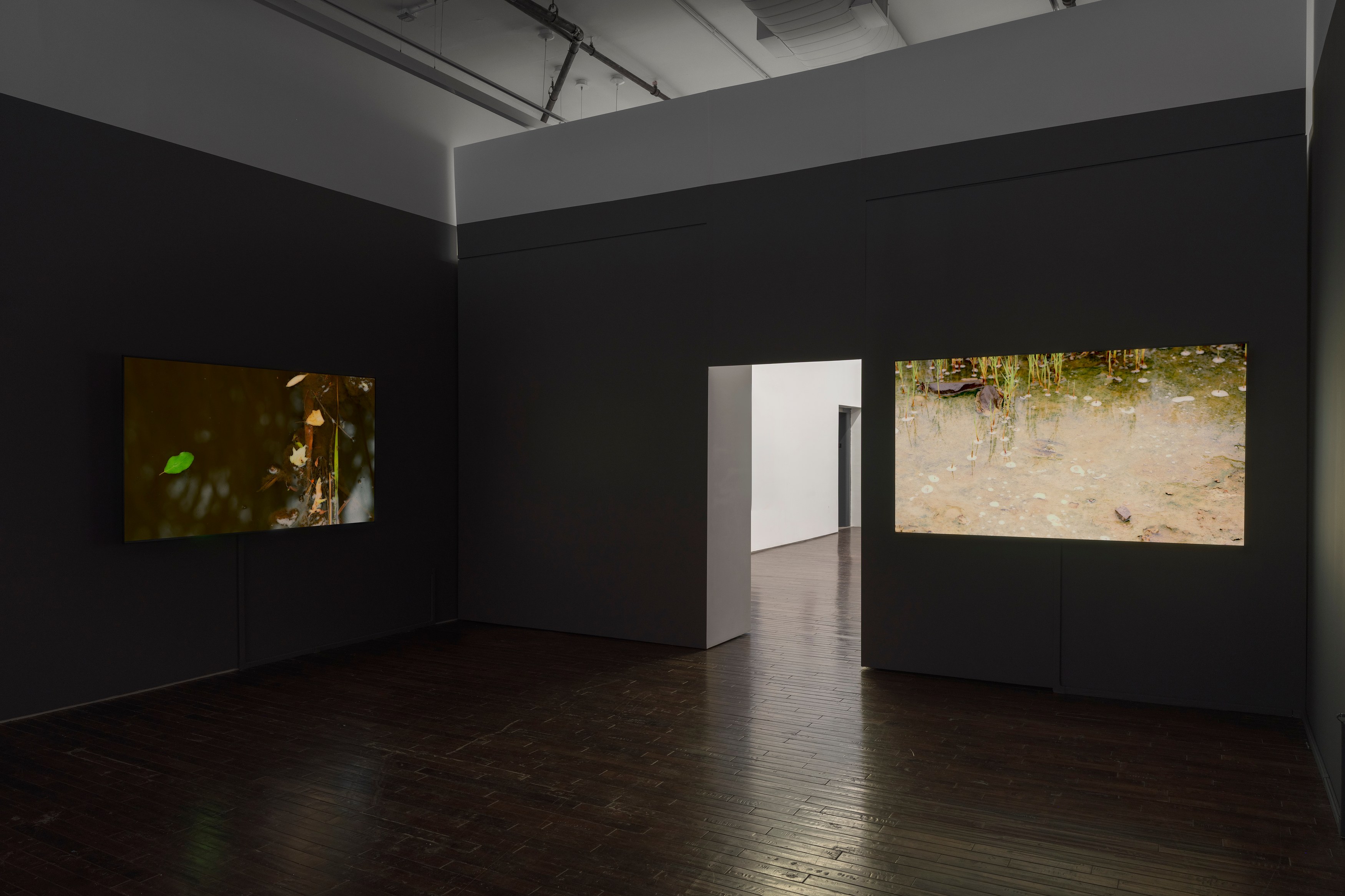 peter campus, what dreams may come at Cristin Tierney Gallery, photo 3