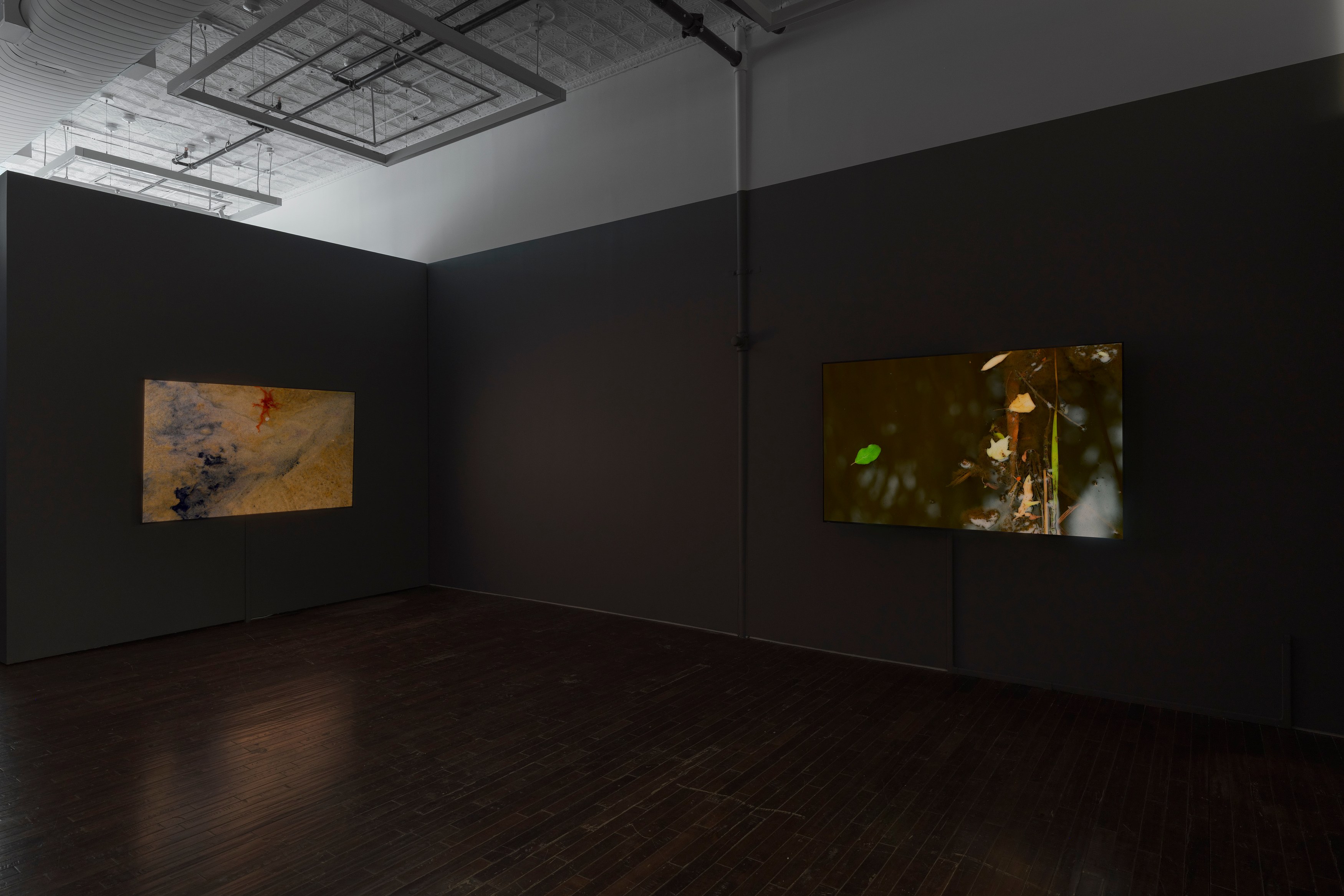 peter campus, what dreams may come at Cristin Tierney Gallery, photo 4