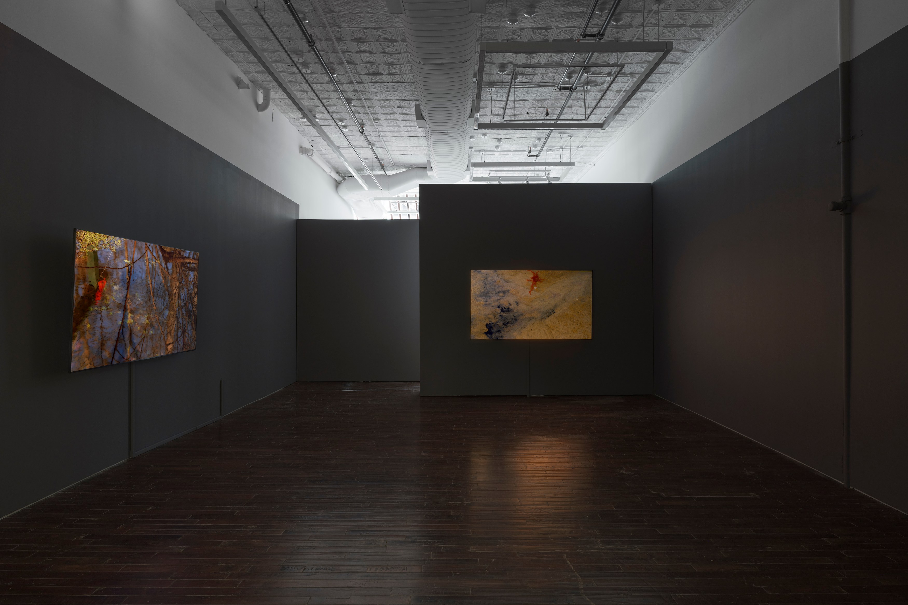 peter campus, what dreams may come at Cristin Tierney Gallery, photo 5