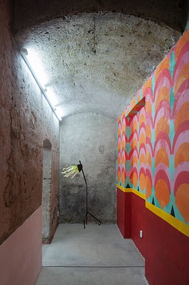 Image 7 of 43