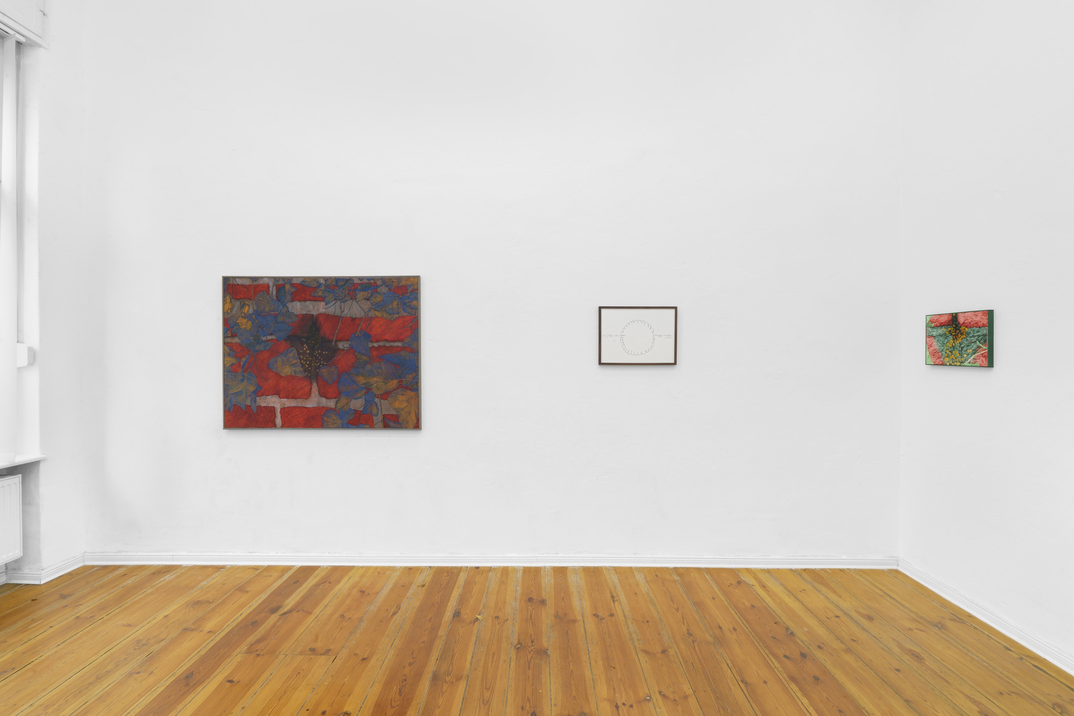 Juan Larraín González, I hosted A flood here, it changed my contours at Hours, photo 4