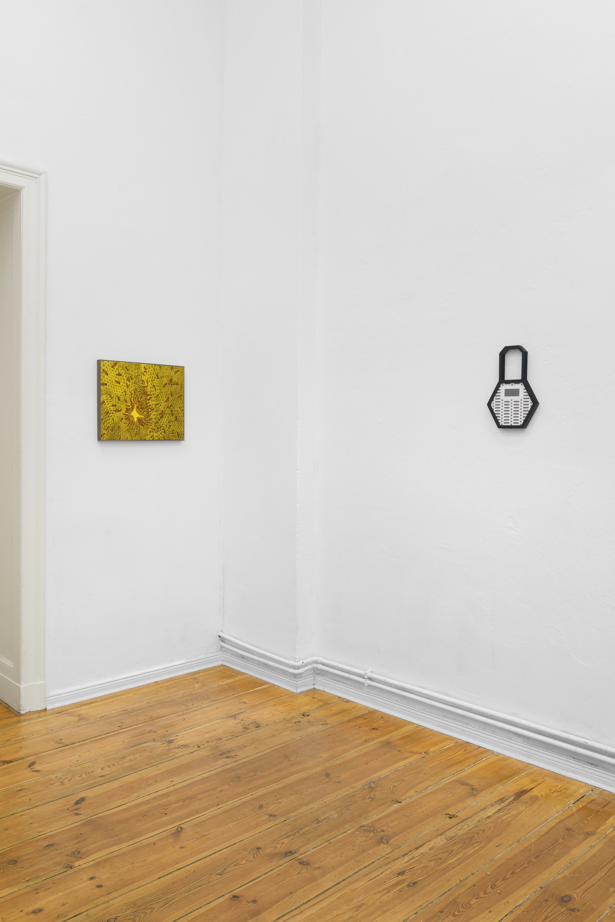 Juan Larraín González, I hosted A flood here, it changed my contours at Hours, photo 5