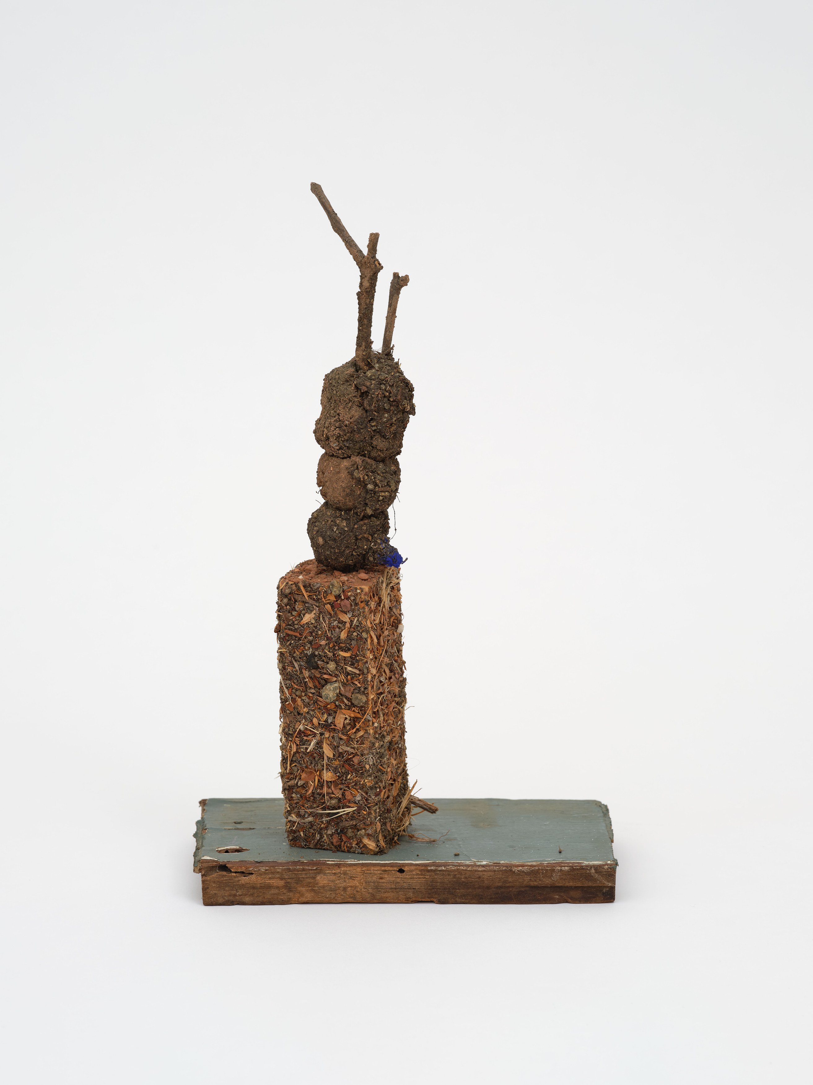 rhonda saboff / (parker pine), image 17 of 48