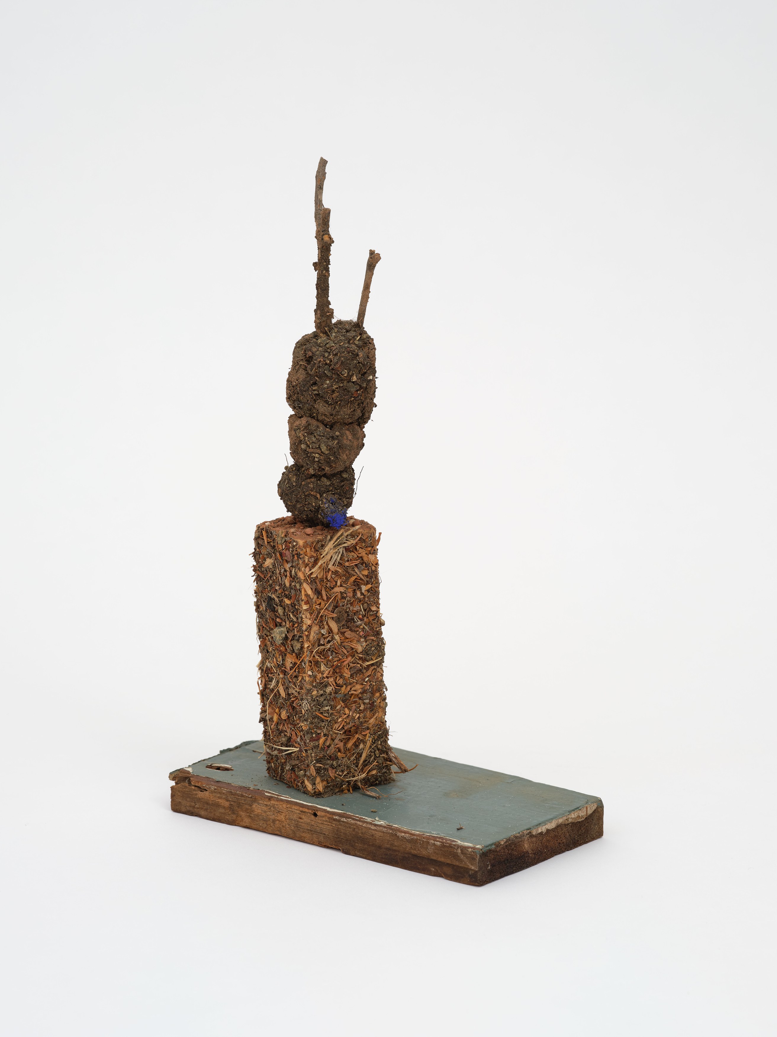 rhonda saboff / (parker pine), image 18 of 48