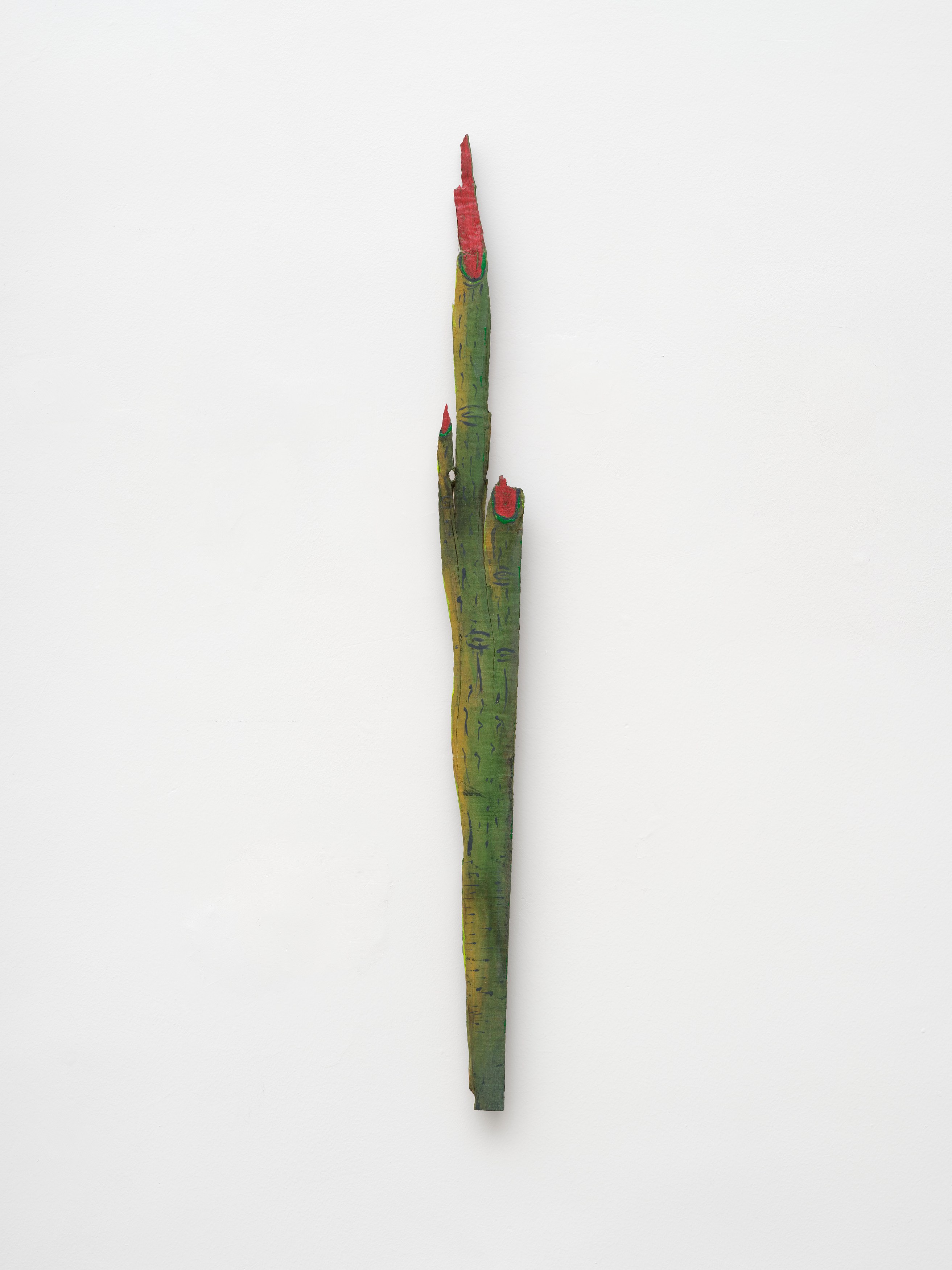 rhonda saboff / (parker pine), image 30 of 48