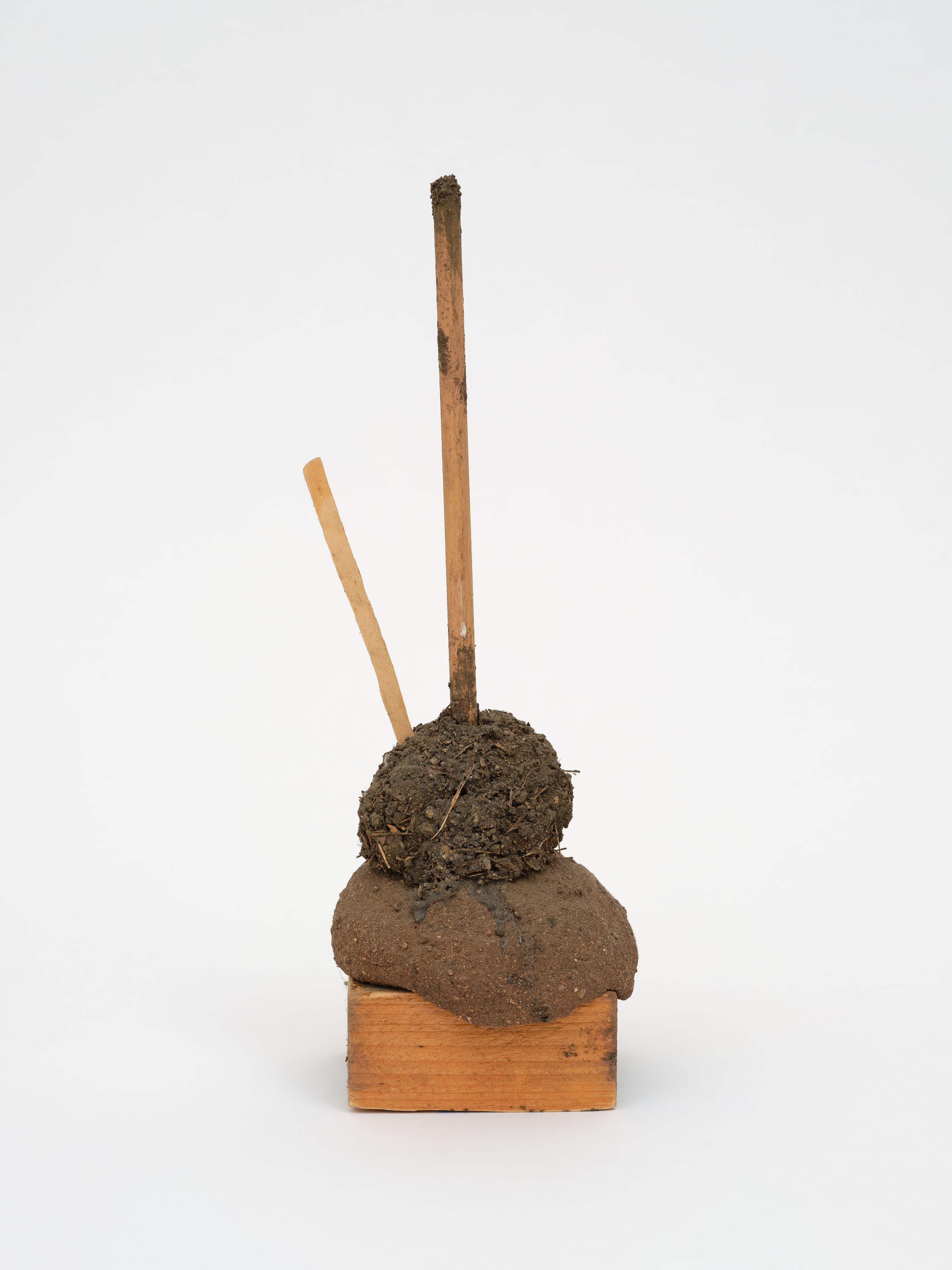 rhonda saboff / (parker pine), image 43 of 48