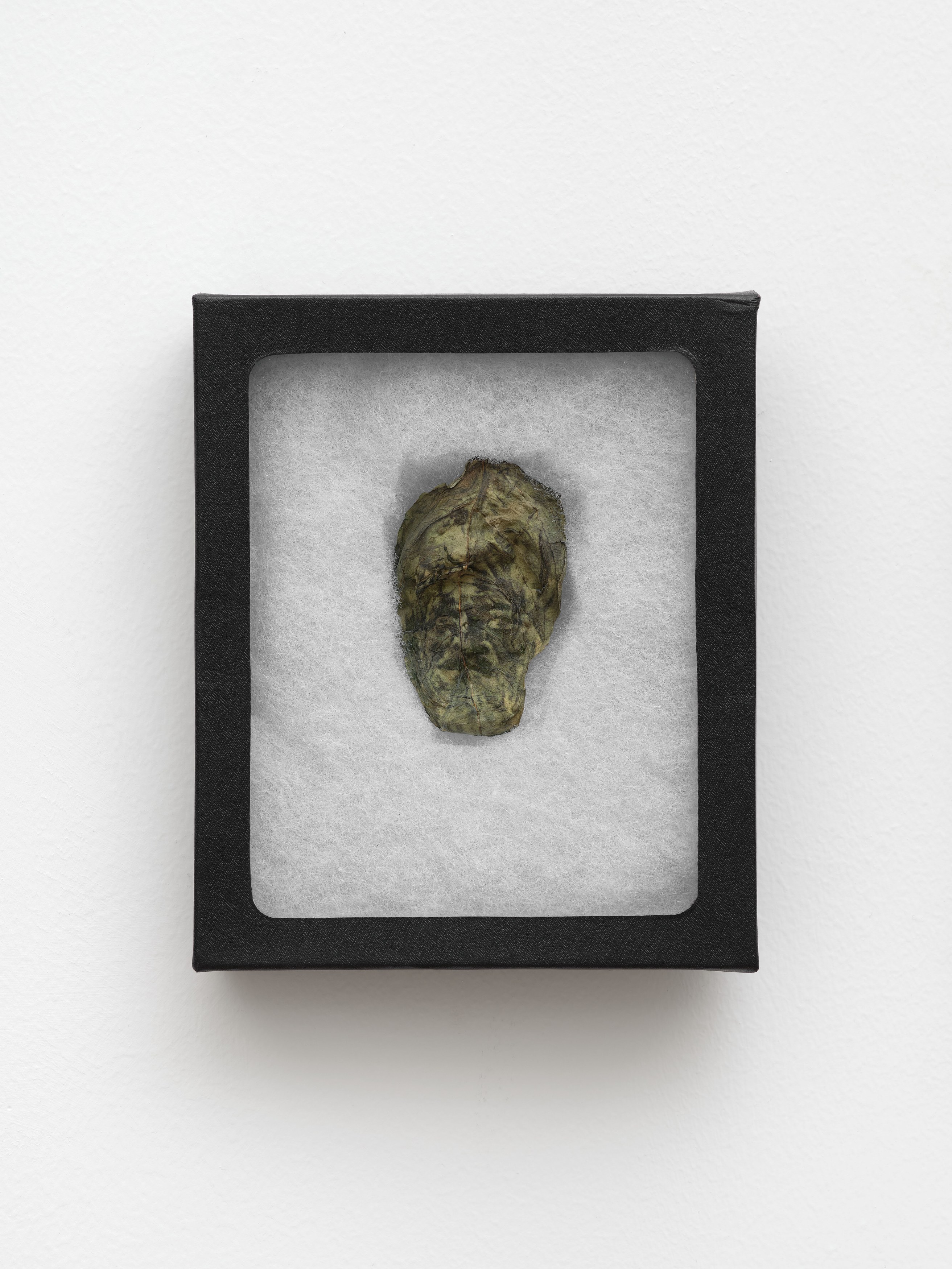 rhonda saboff / (parker pine), image 47 of 48