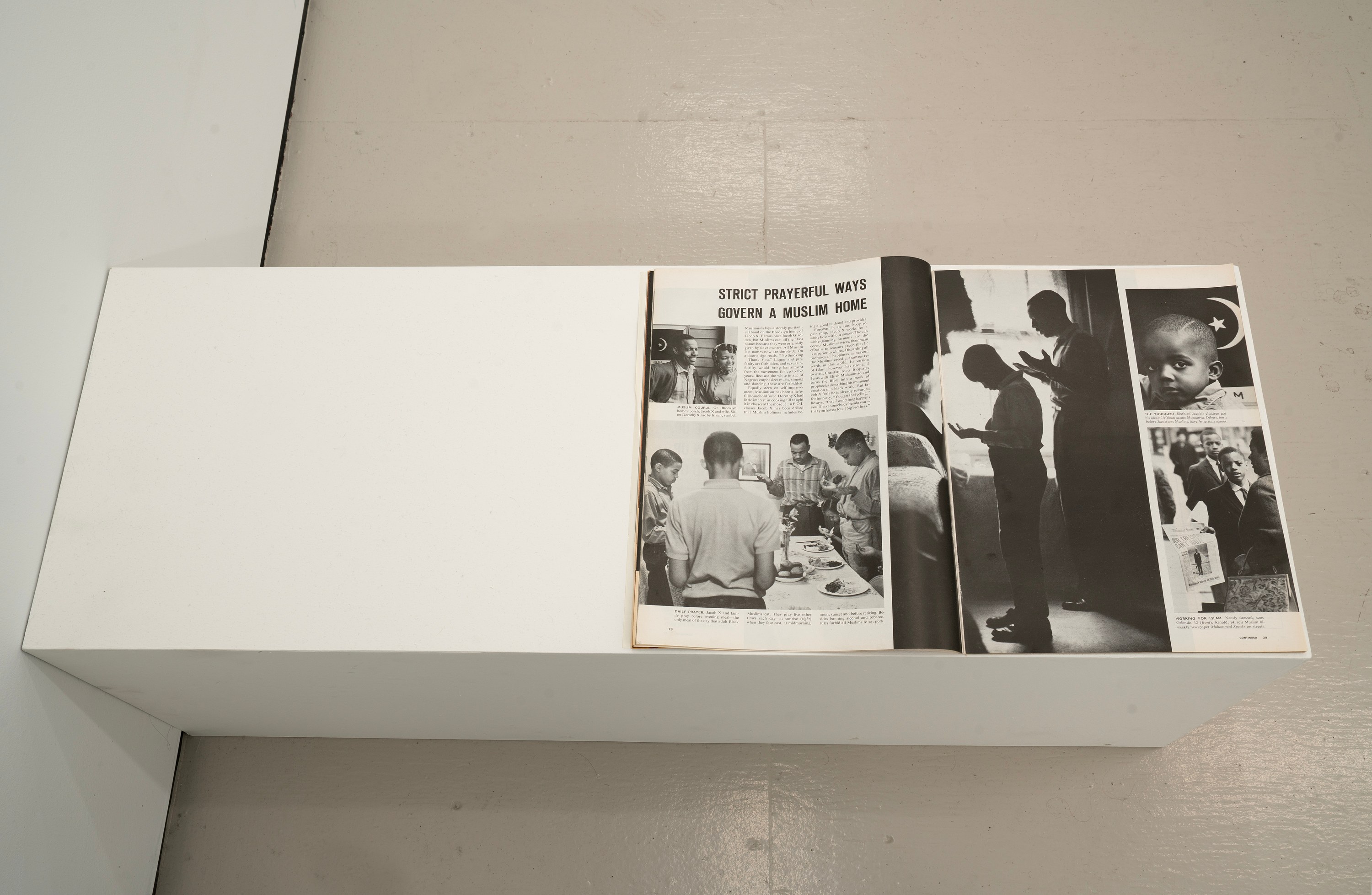 Companion, Companion at Gern en Regalia, photo 19
