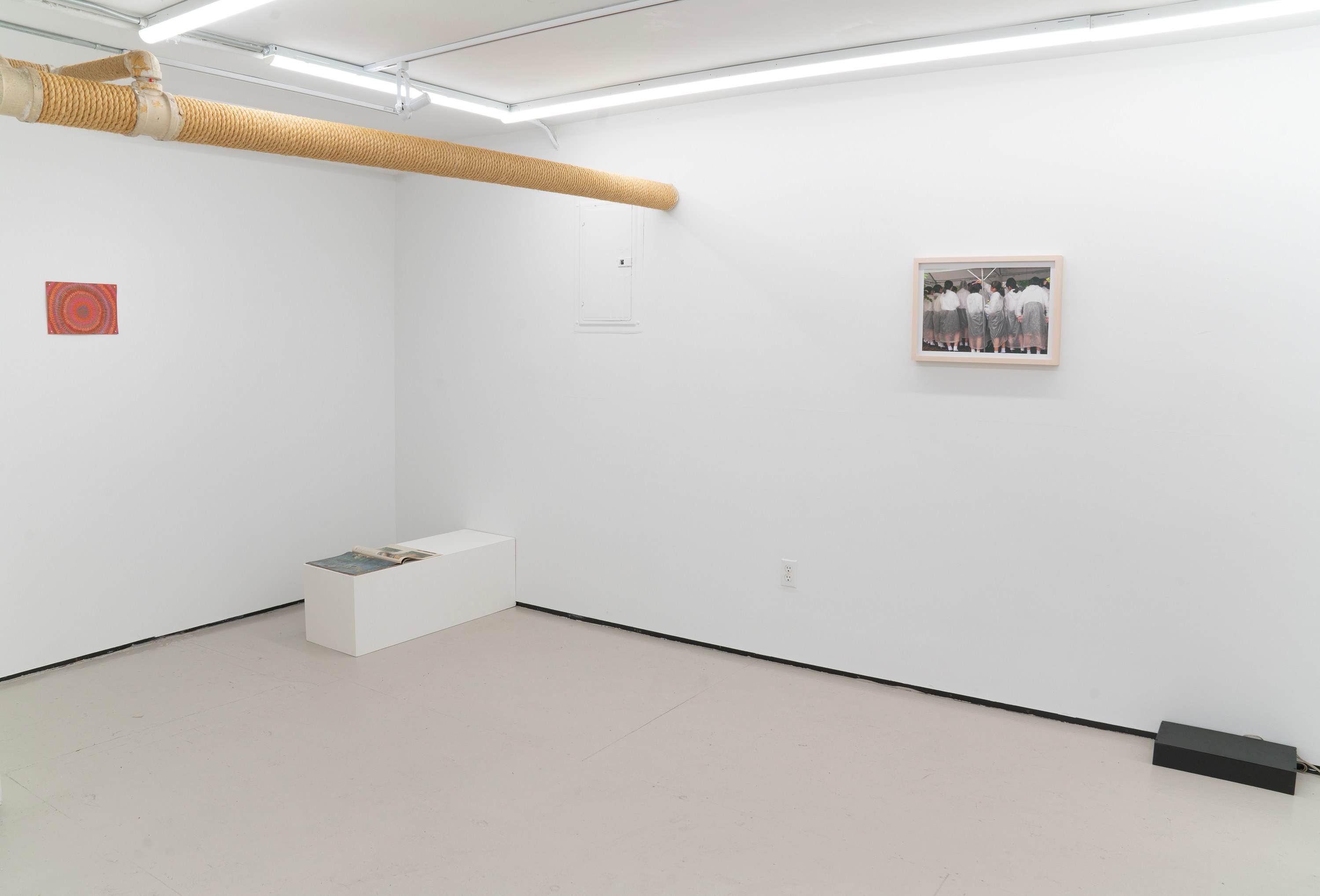 Companion, Companion at Gern en Regalia, photo 15