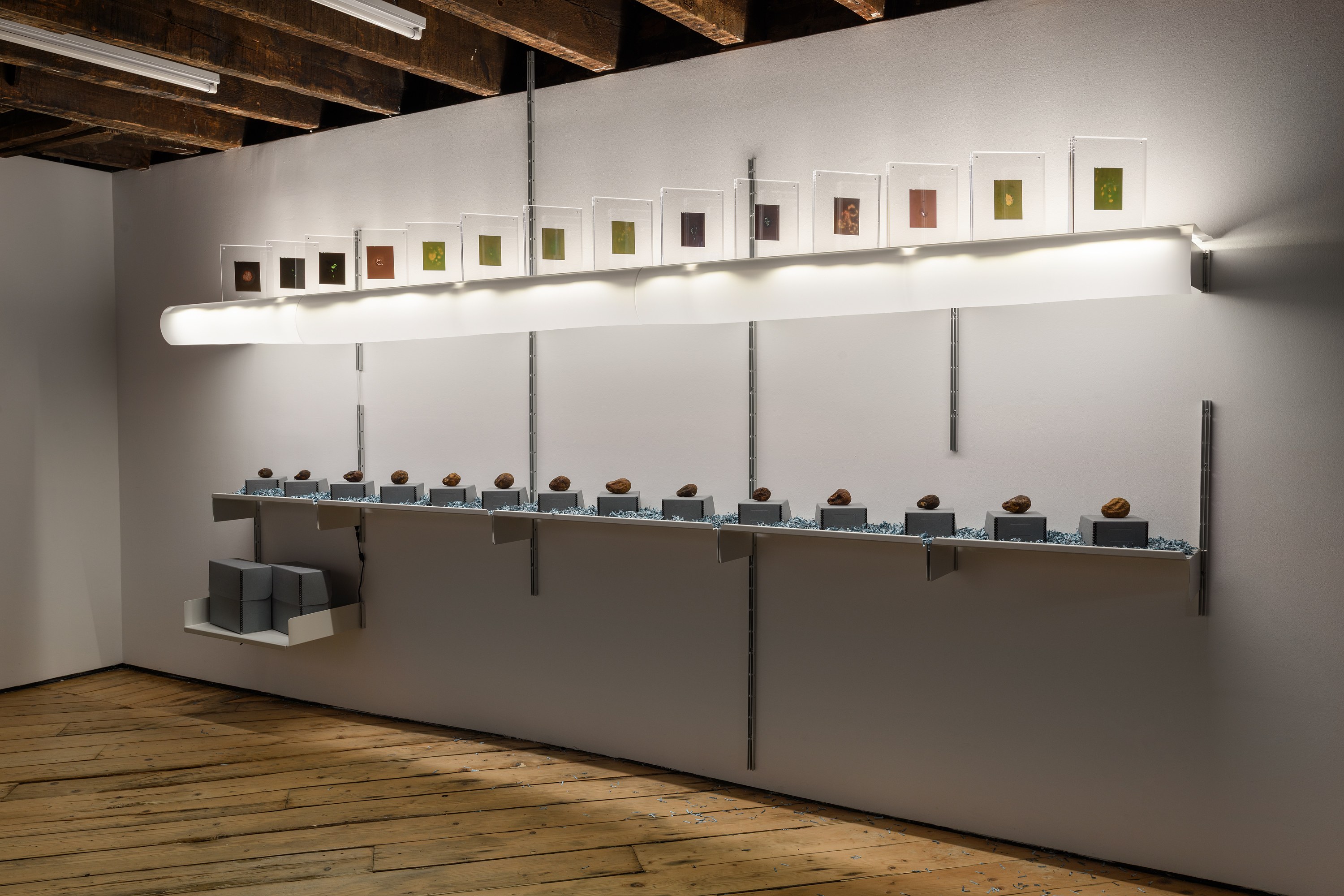 Eloise Hess, On Kawara, April 3–May 17, 2026 at Foreign & Domestic, photo 29