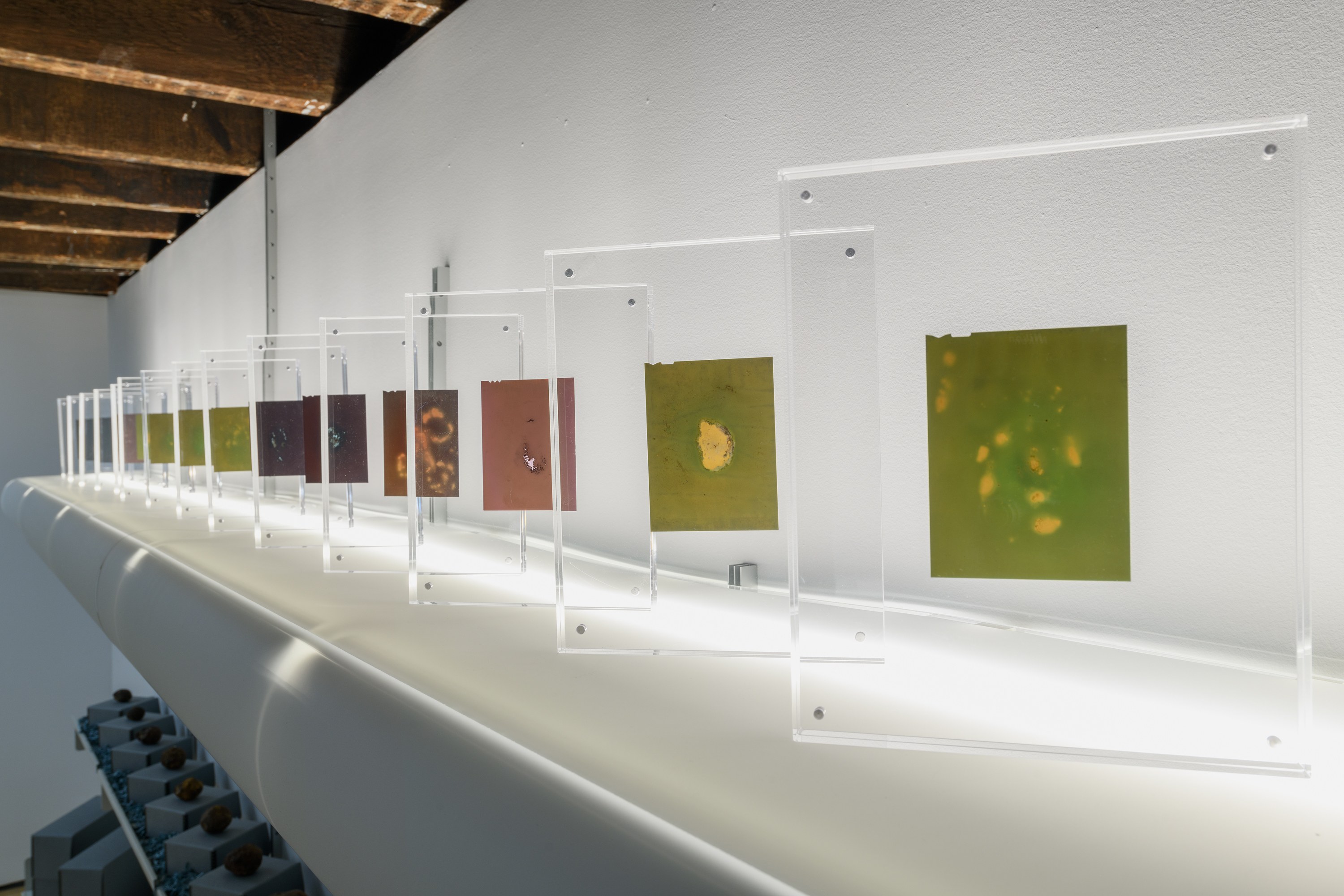 Eloise Hess, On Kawara, April 3–May 17, 2026 at Foreign & Domestic, photo 30