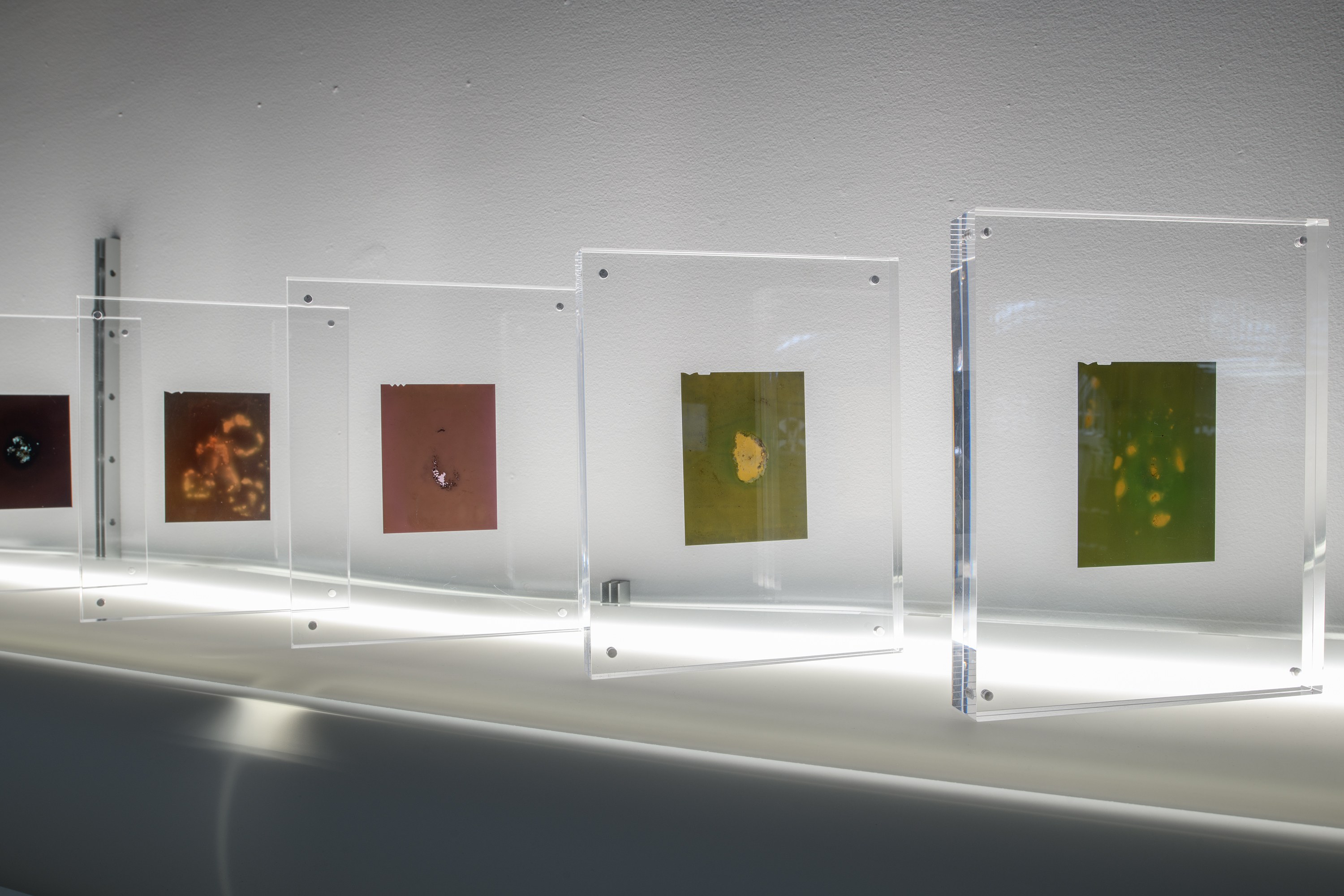 Eloise Hess, On Kawara, April 3–May 17, 2026 at Foreign & Domestic, photo 31