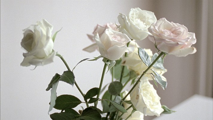 Image 21 of 32