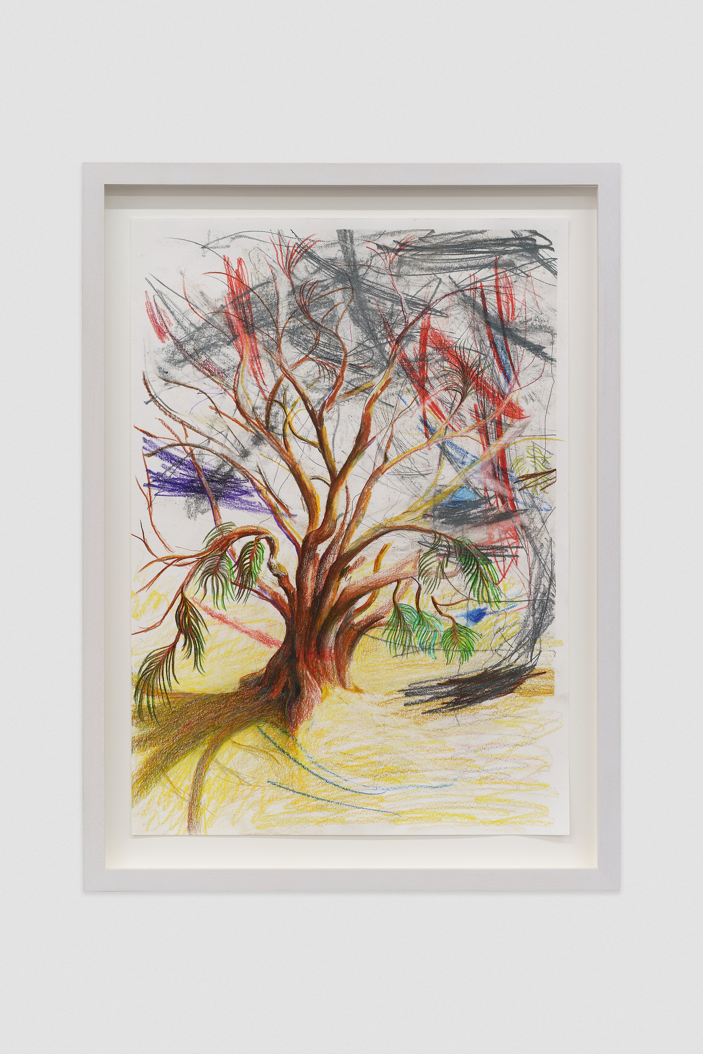 Andreas Amble, image 18 of 19