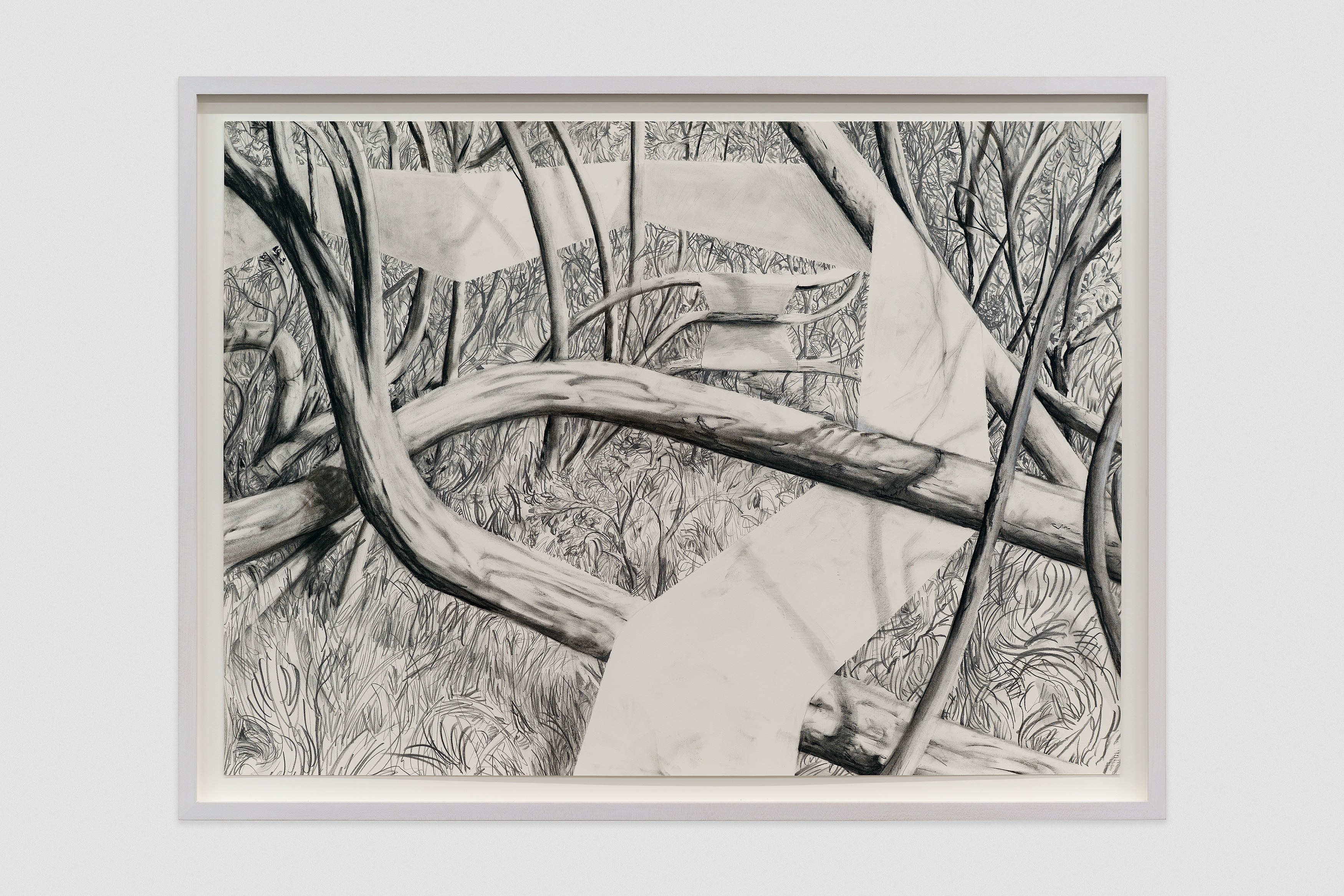 Andreas Amble, image 19 of 19