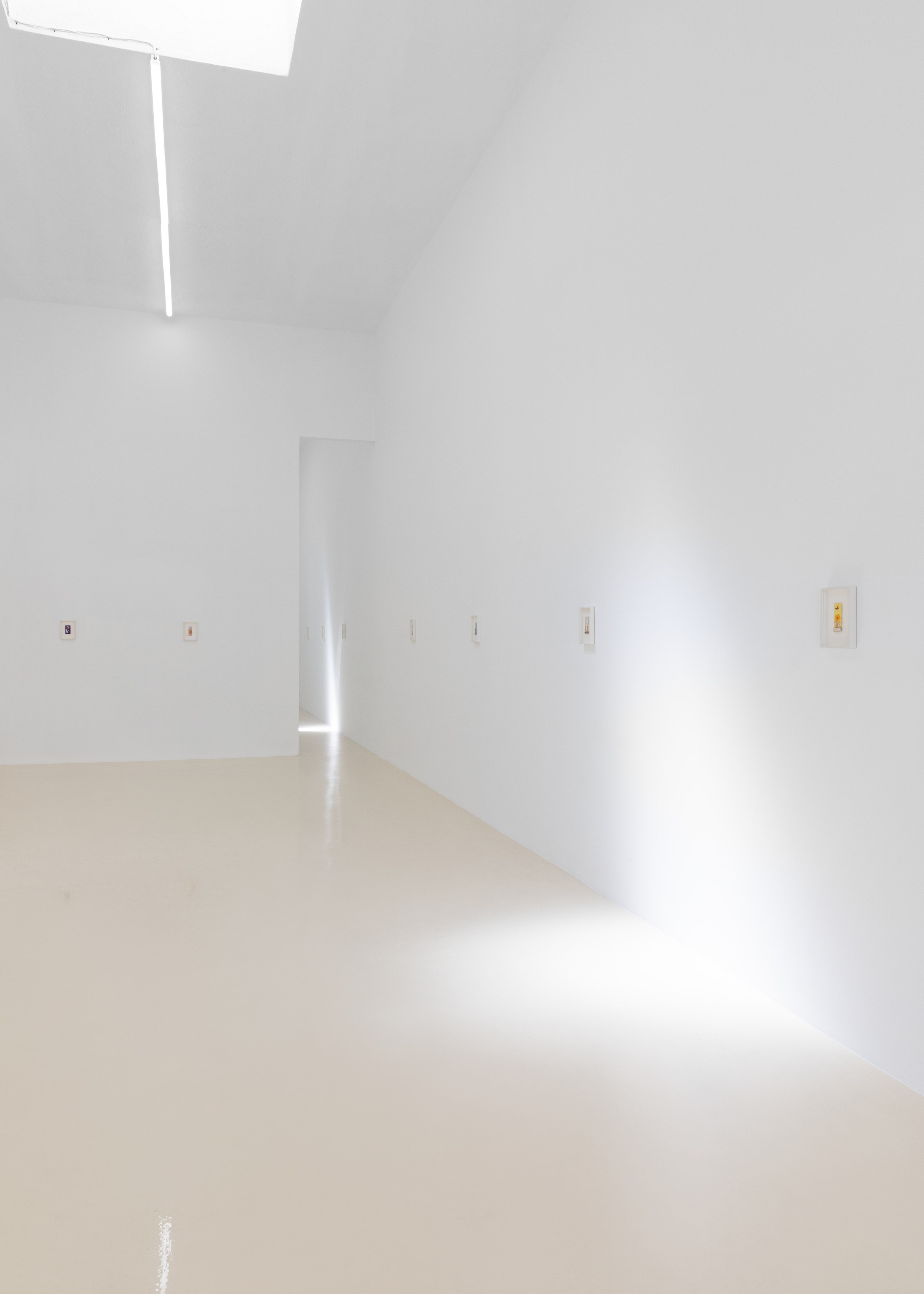Joe Brainard, Matchbook Miniatures at Chris Sharp Gallery, photo 6